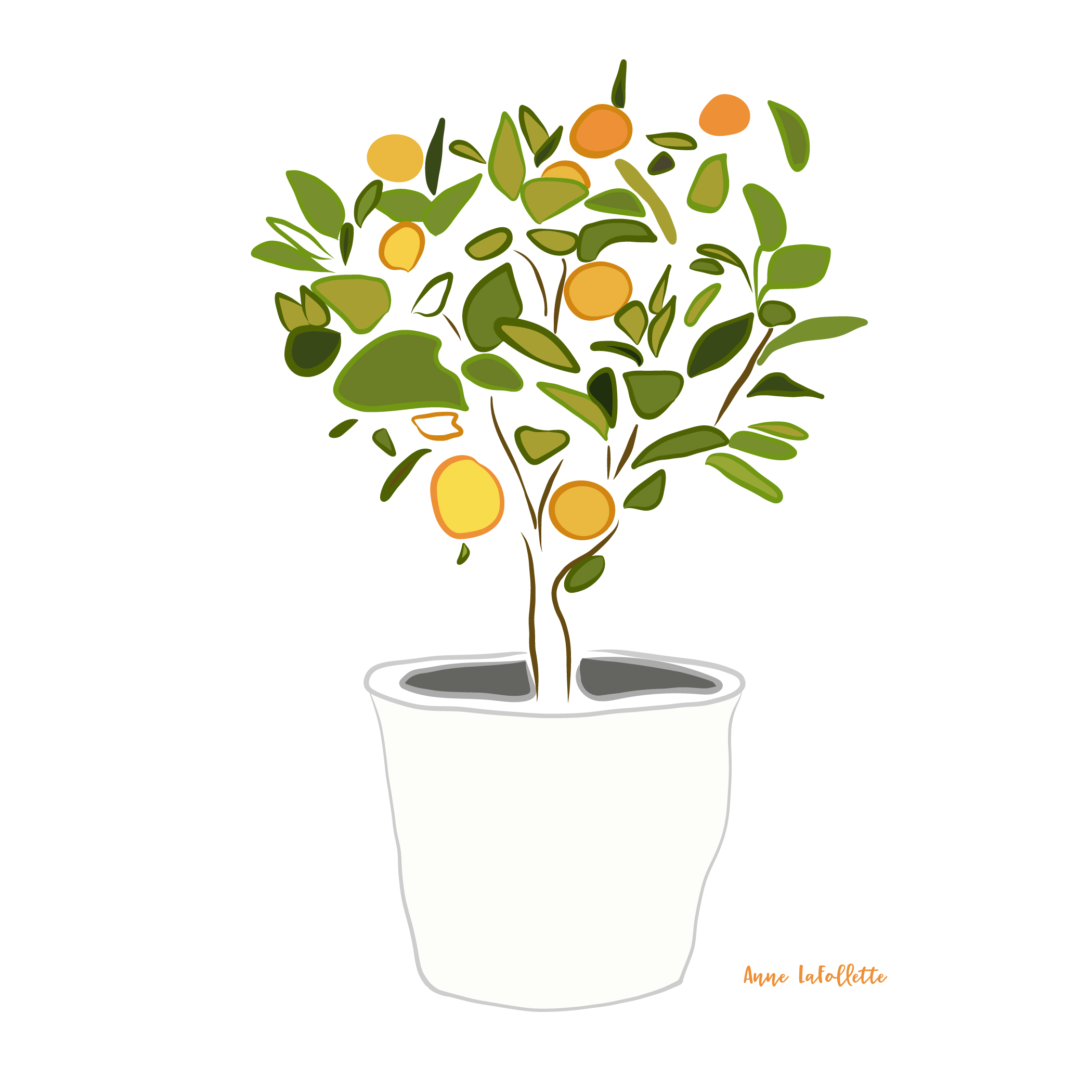 orange-tree.jpg