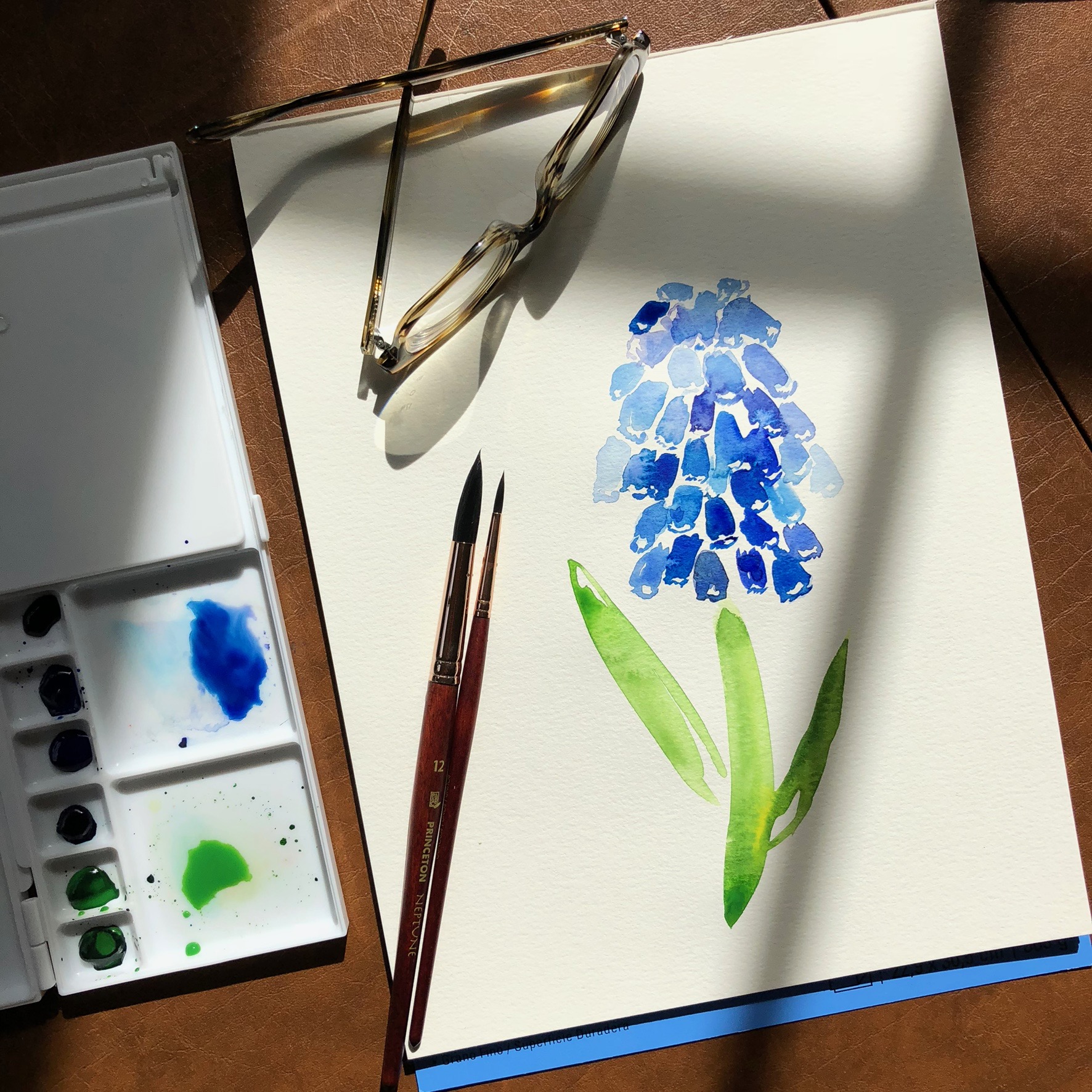 muscari in light.jpg