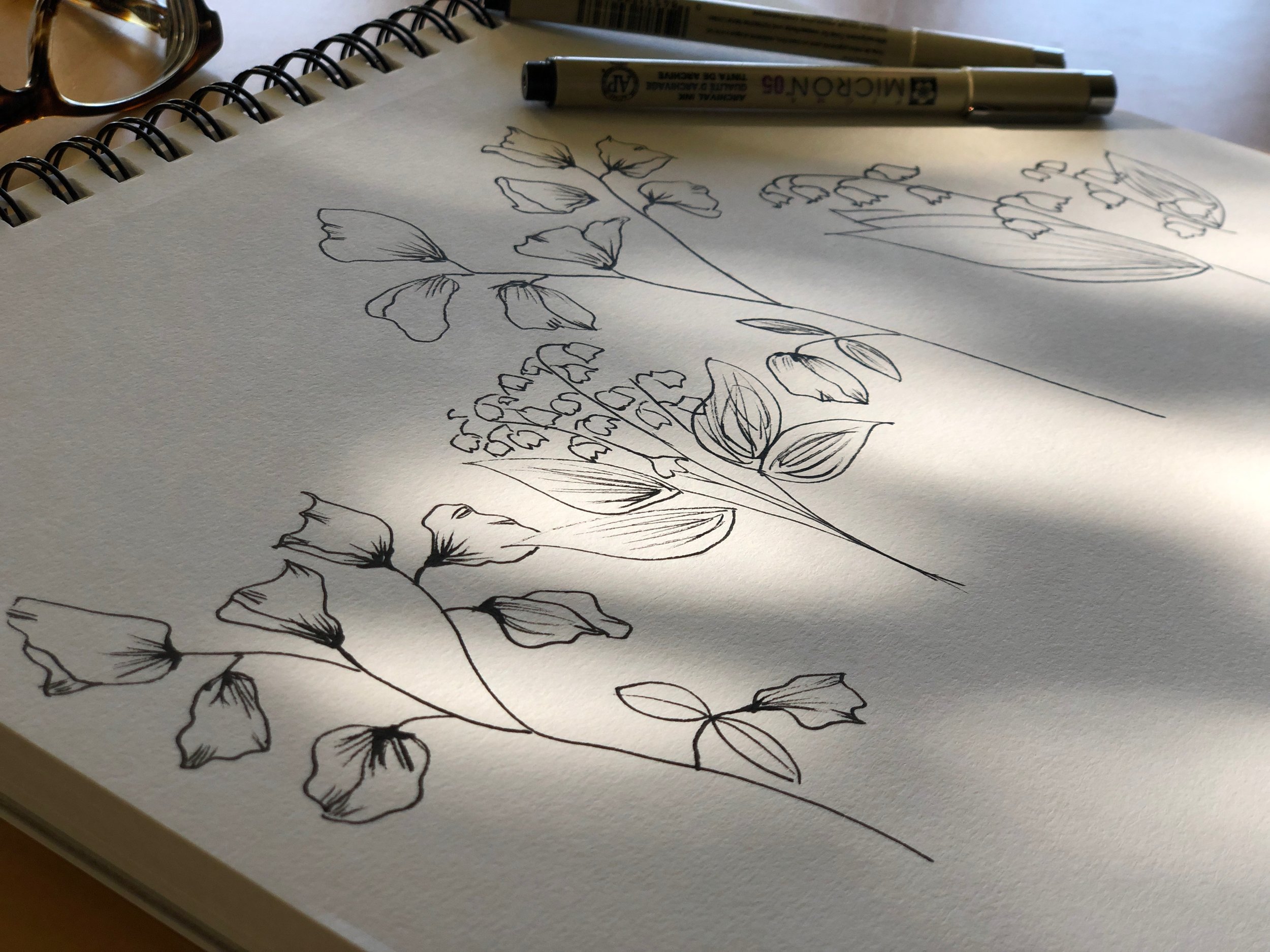 sketches-in-the-sun_Anne-LaFollette.jpg