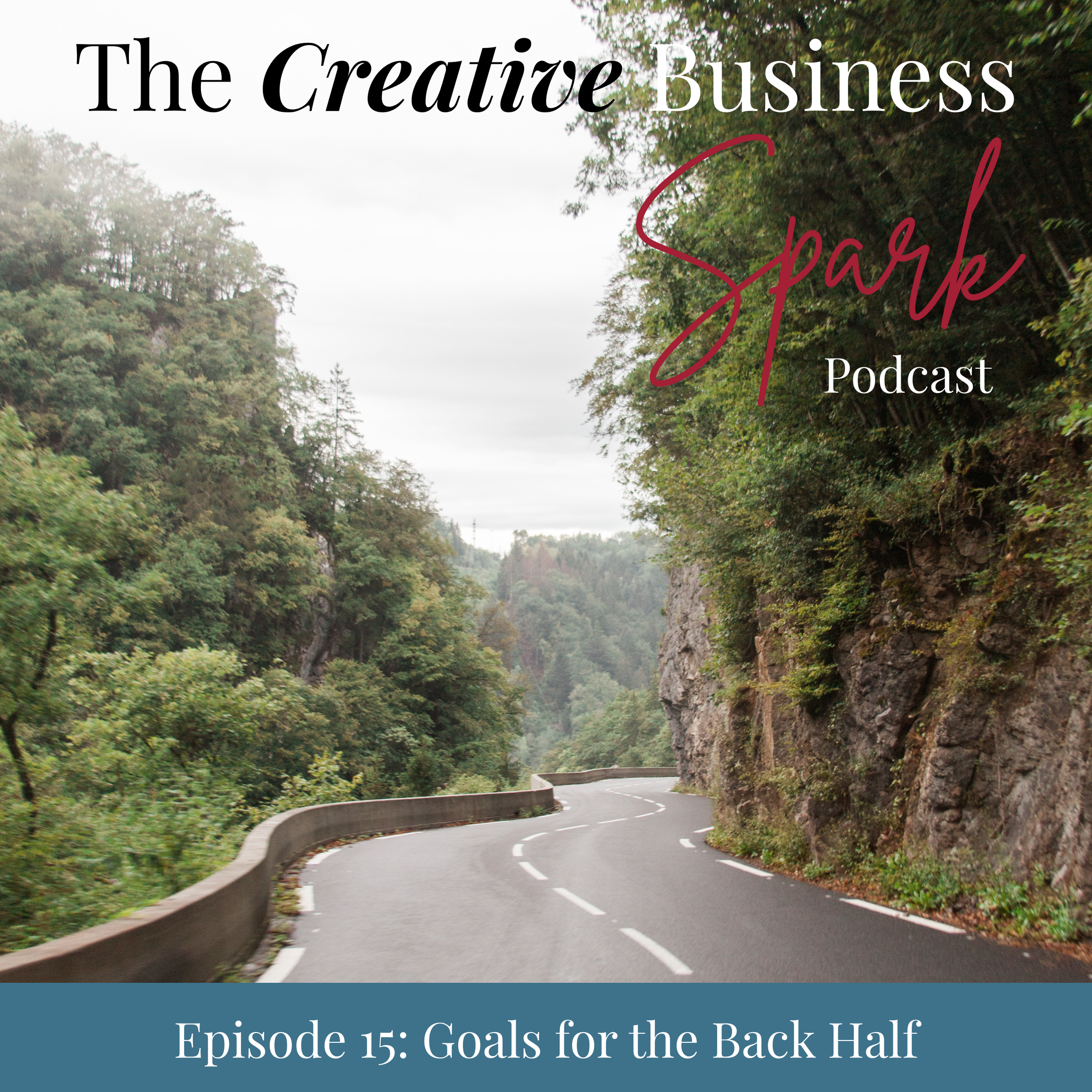 Episode 15: Goal Setting for the Back Half of 2025