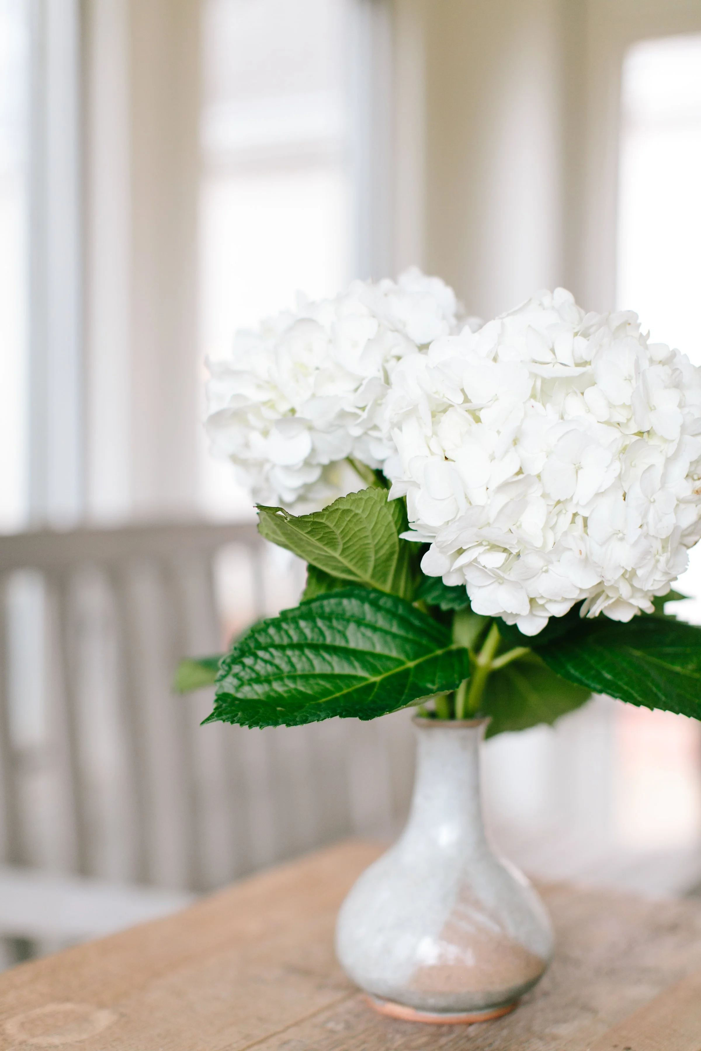 My Birthday Gift to You: Permission Slips