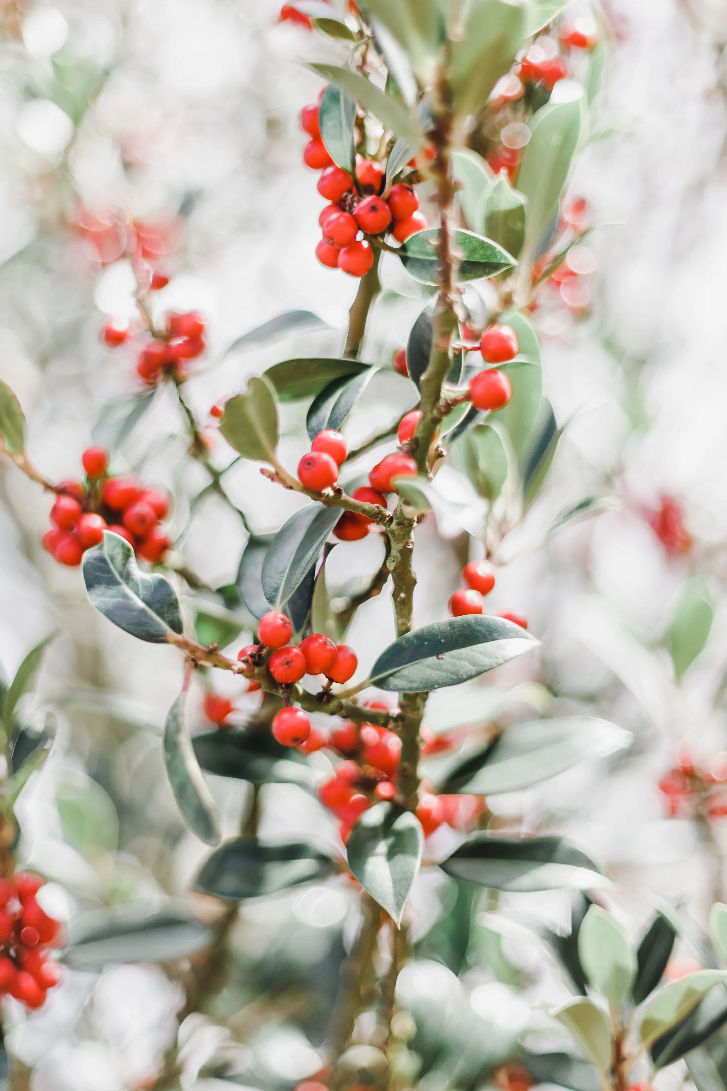 When the Tank Is Empty, Listen. New Ideas Will Emerge