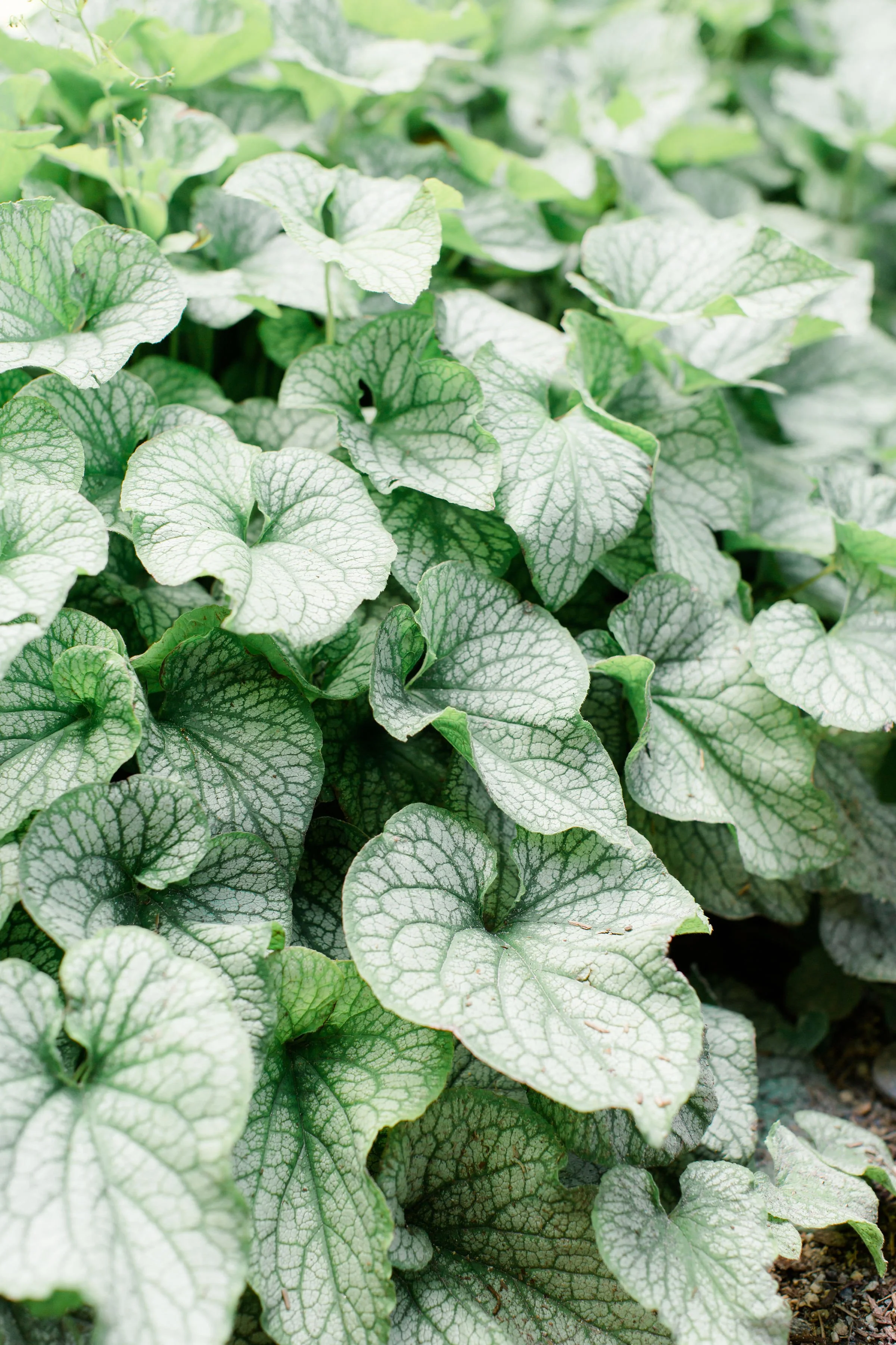 This Changed Everything: How I Found Surface Pattern Design