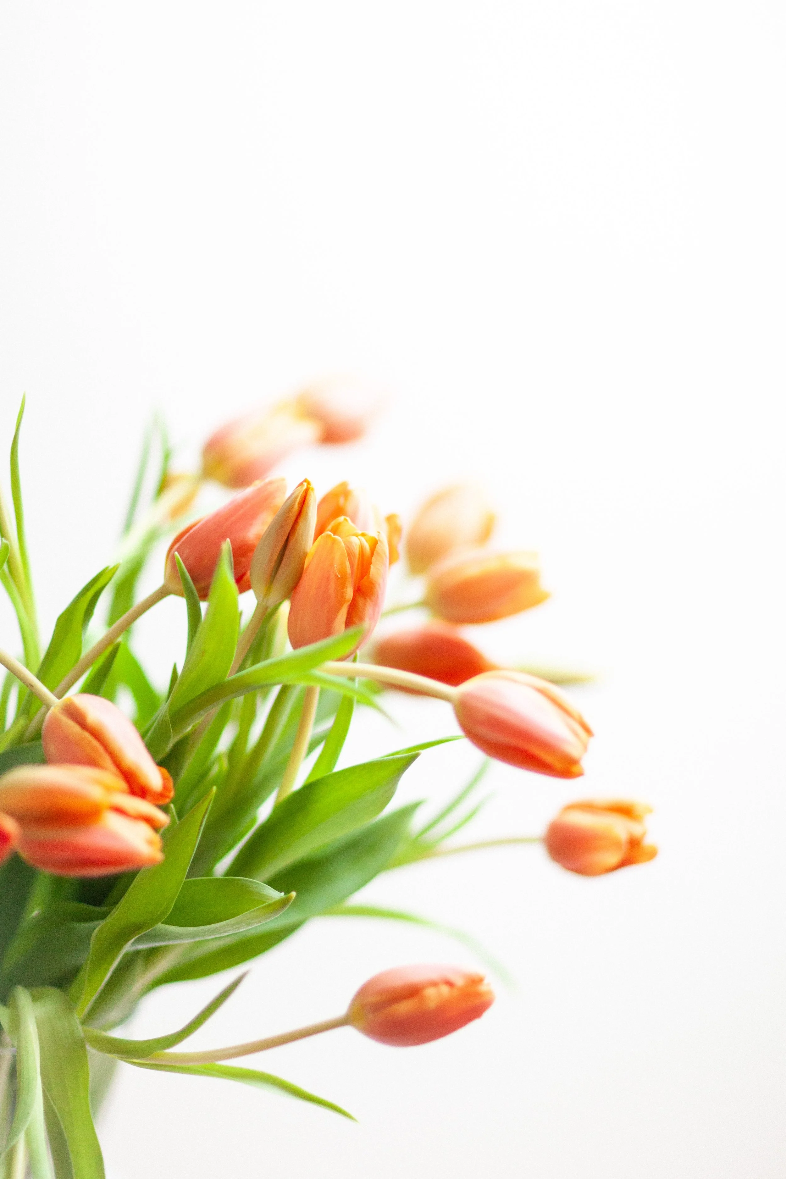 Why I Shared So Many Emails Recently (Sorry, not Sorry!)