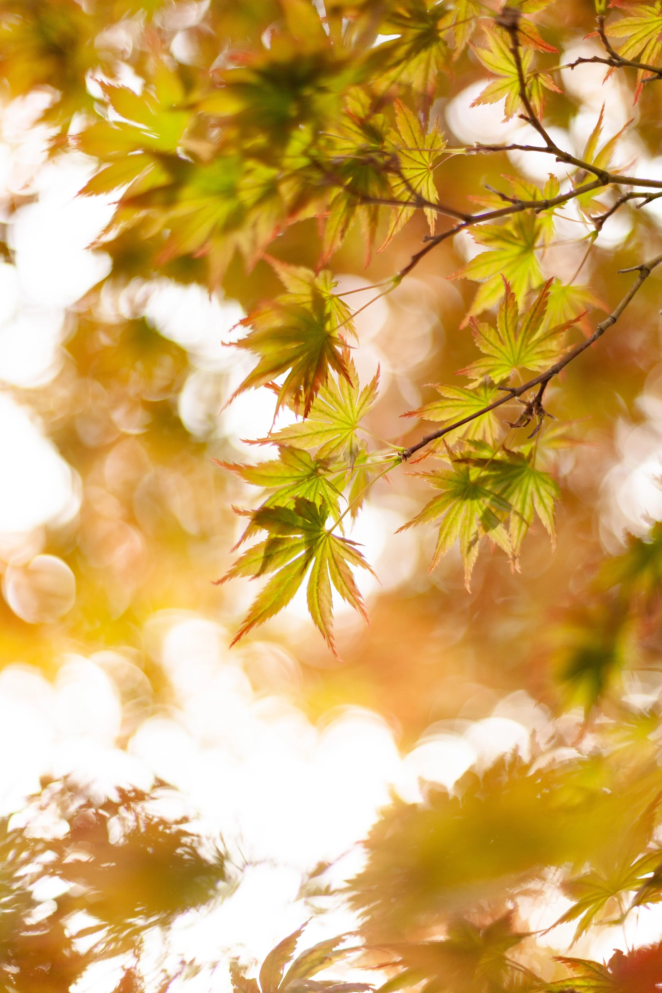 Three Shifts That Make Room for Your Creativity