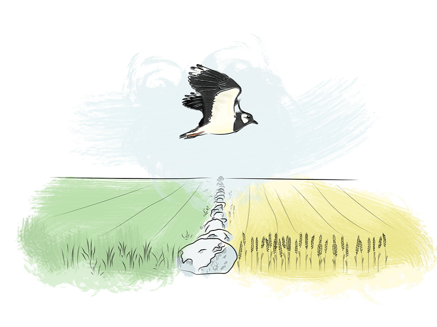 Vener i krig, Jærbladet