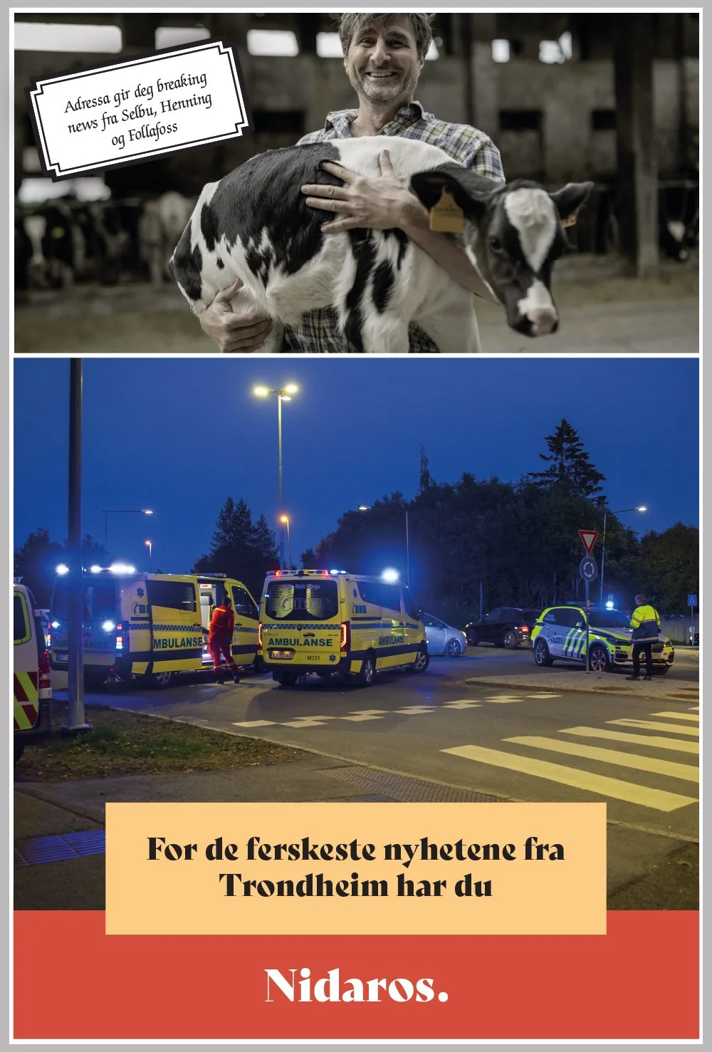 nidaros-Artboard 2.jpg