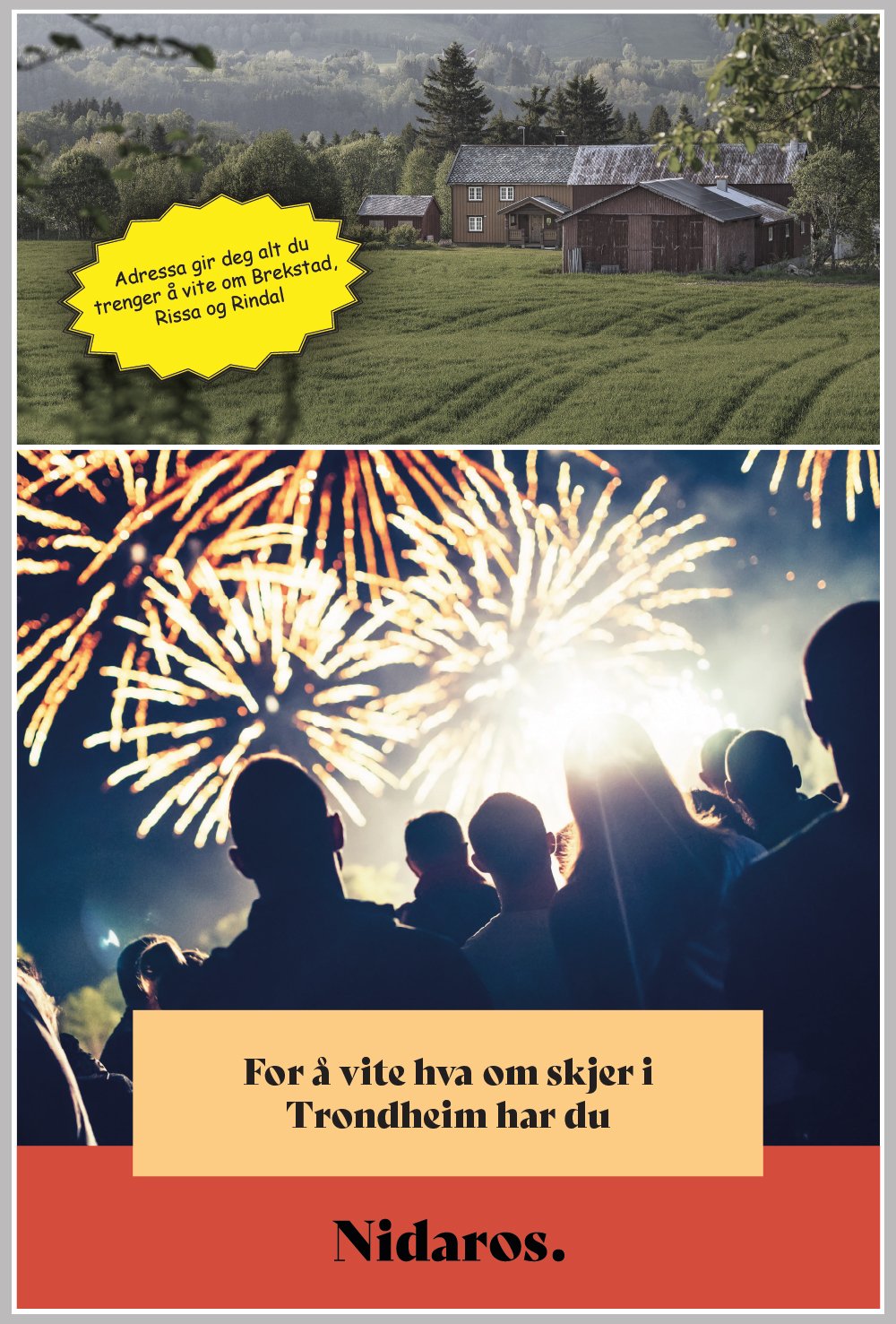 nidaros-Artboard 5.jpg