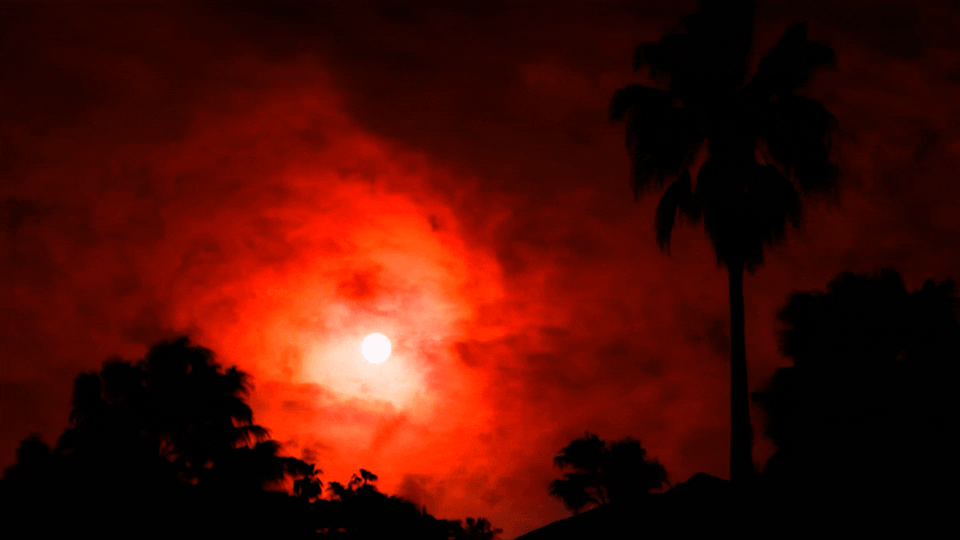 home_page_vimeo (1080p)4.gif