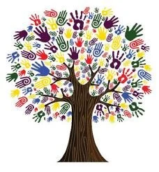 Help Tree Diversity Flourish in Fitchburg&nbsp;