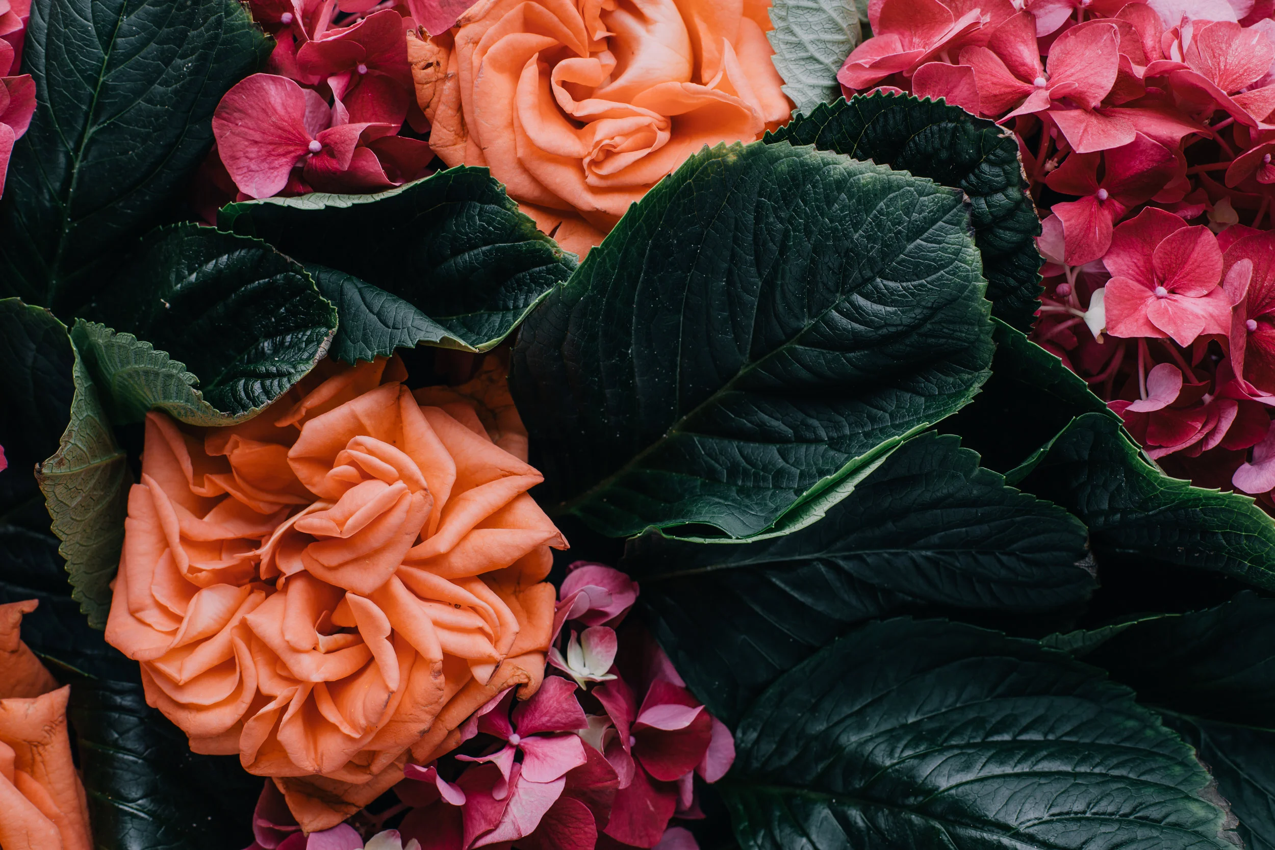 Death_to_stock_photography_bonus_floral_2.jpg