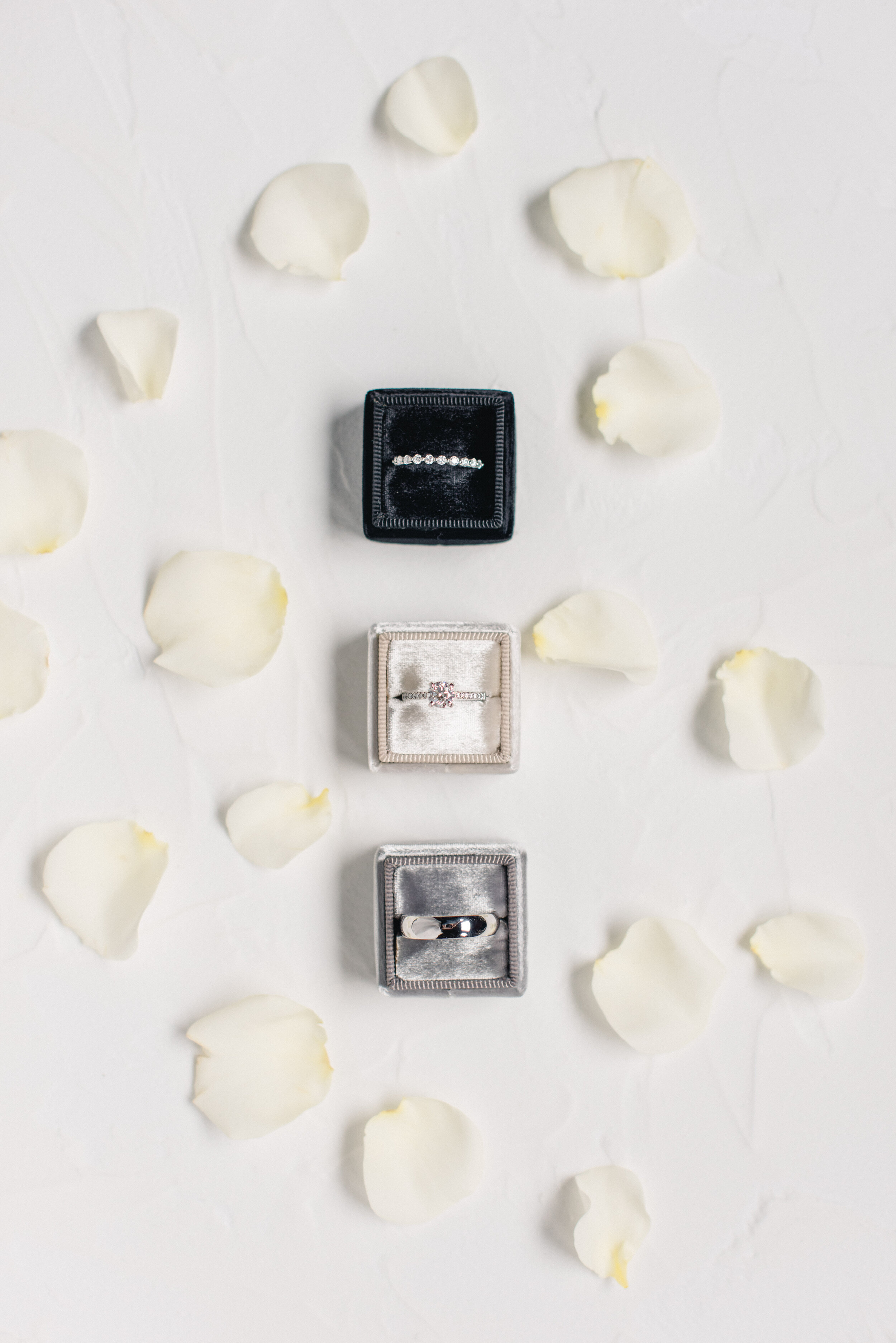 wedding rings with petals.jpg