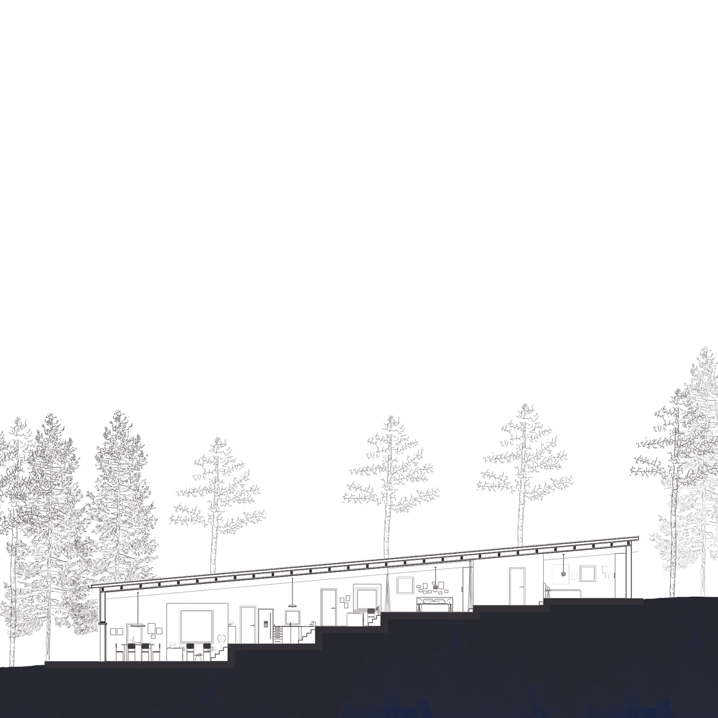 Section