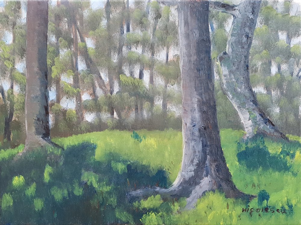 ''Trees on a field near Stubhampton, Dorset''