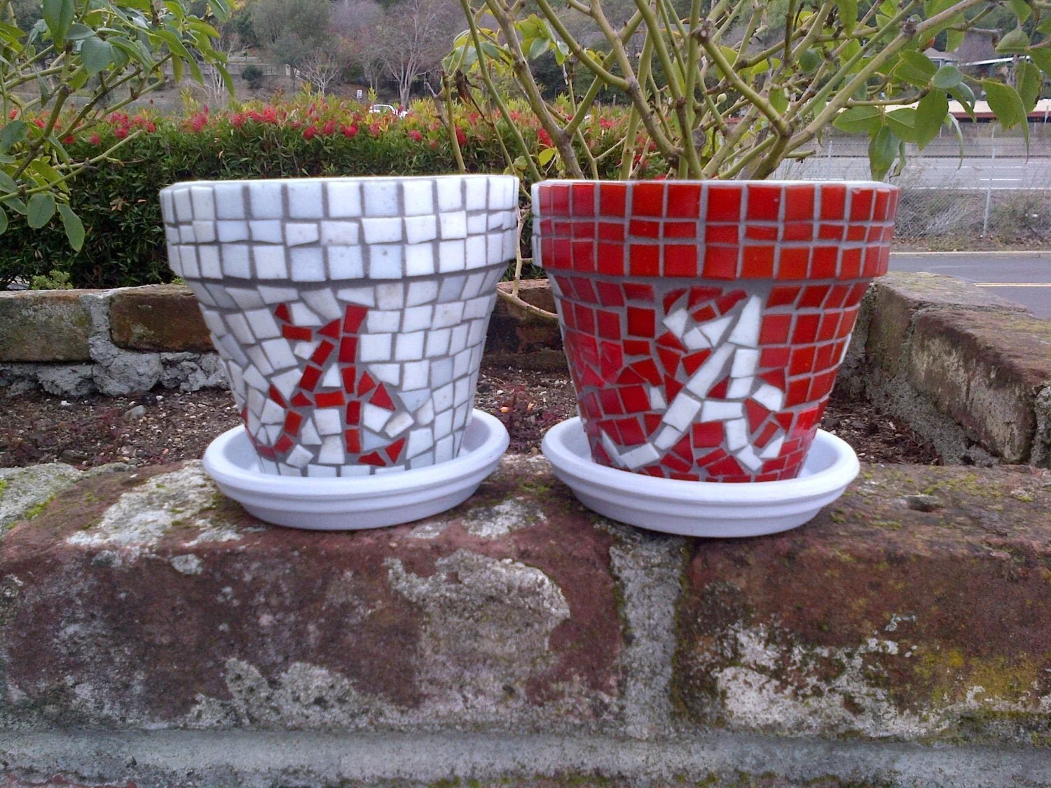 Custom Monogram Glass Tile 4 inch Mosaic Pots  Marin Mosaics Custom Mosaics