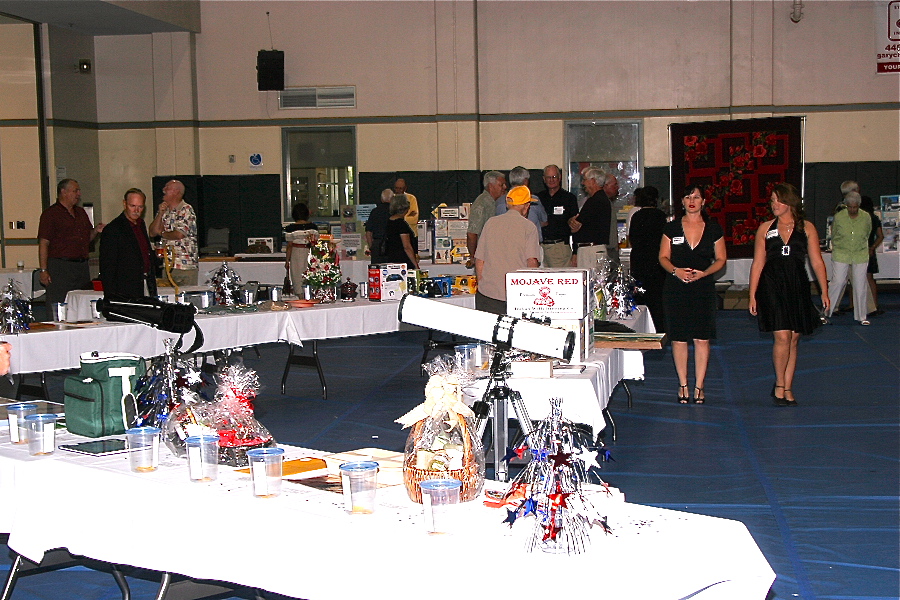 2009-Auction Items