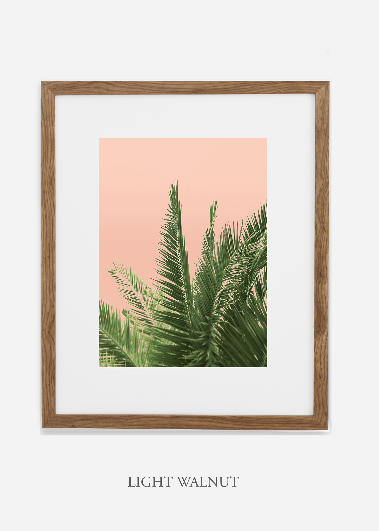 tropical_palmtree_interiordesign_PinkPalmNo2_LightWalnutFrame.jpg
