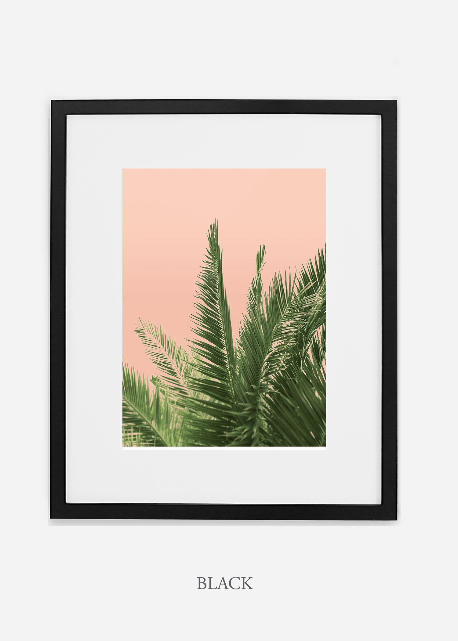 tropical_palmtree_interiordesign_PinkPalmNo2_BlackFrame.jpg