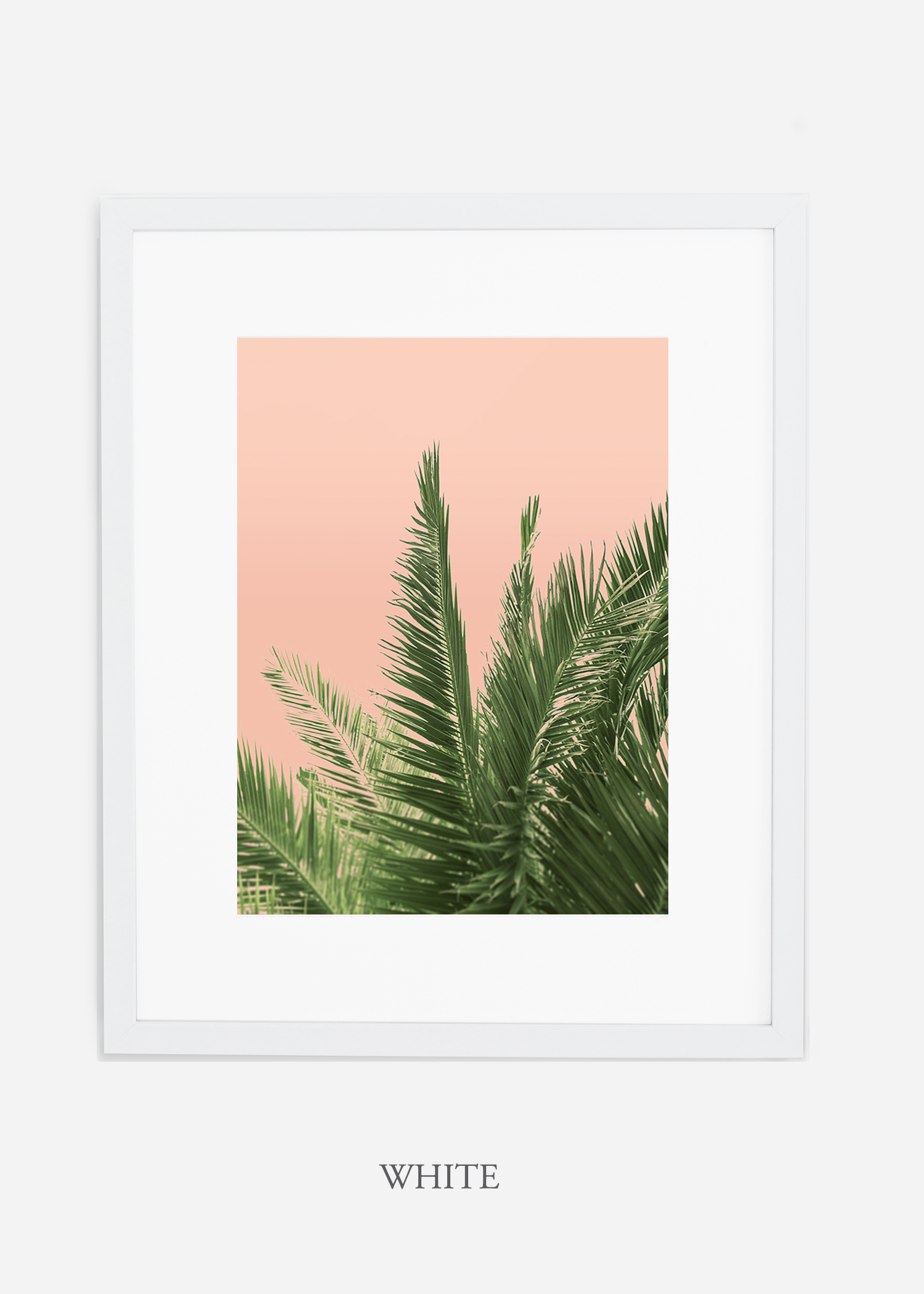 tropical_palmtree_interiordesign_PinkPalmNo2_WhiteFrame.jpg