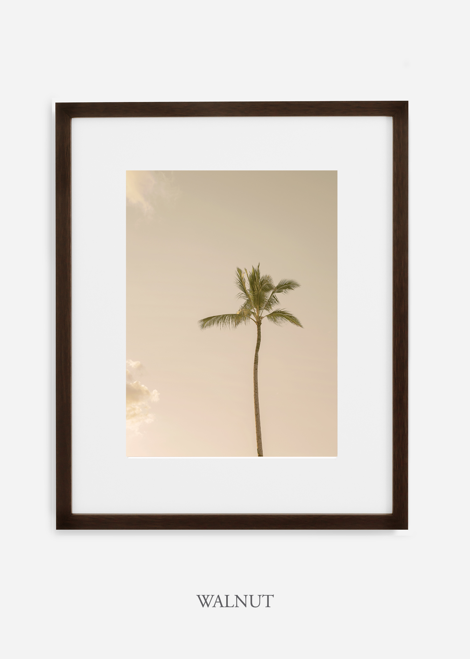 WilderCalifornia_Hawaii_lonepalm_tropicalart_walnutframe.jpg