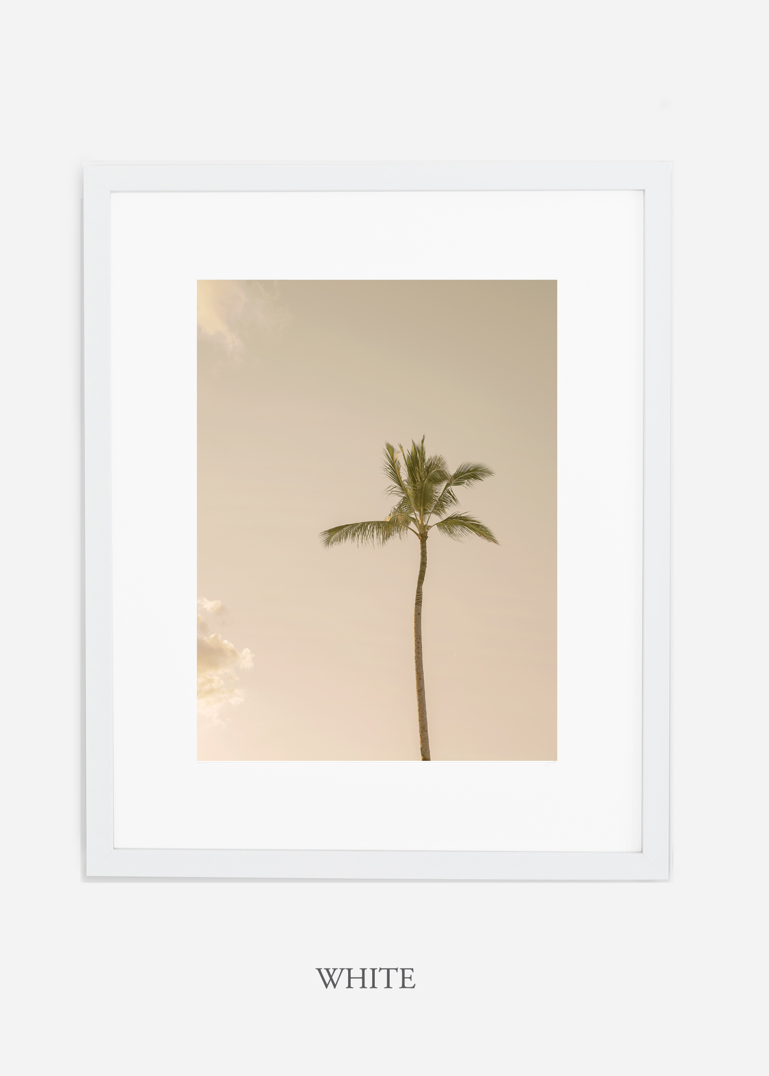 WilderCalifornia_Hawaii_lonepalm_tropicalart_whiteframe.jpg