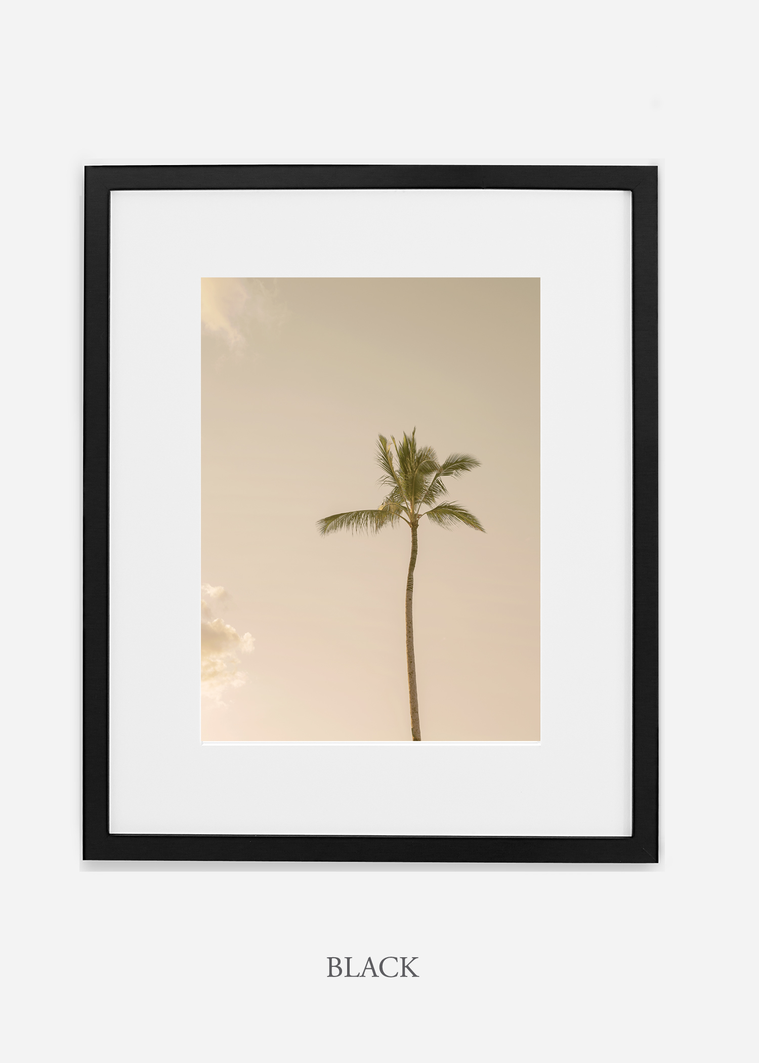 WilderCalifornia_Hawaii_lonepalm_tropicalart_blackframe.jpg