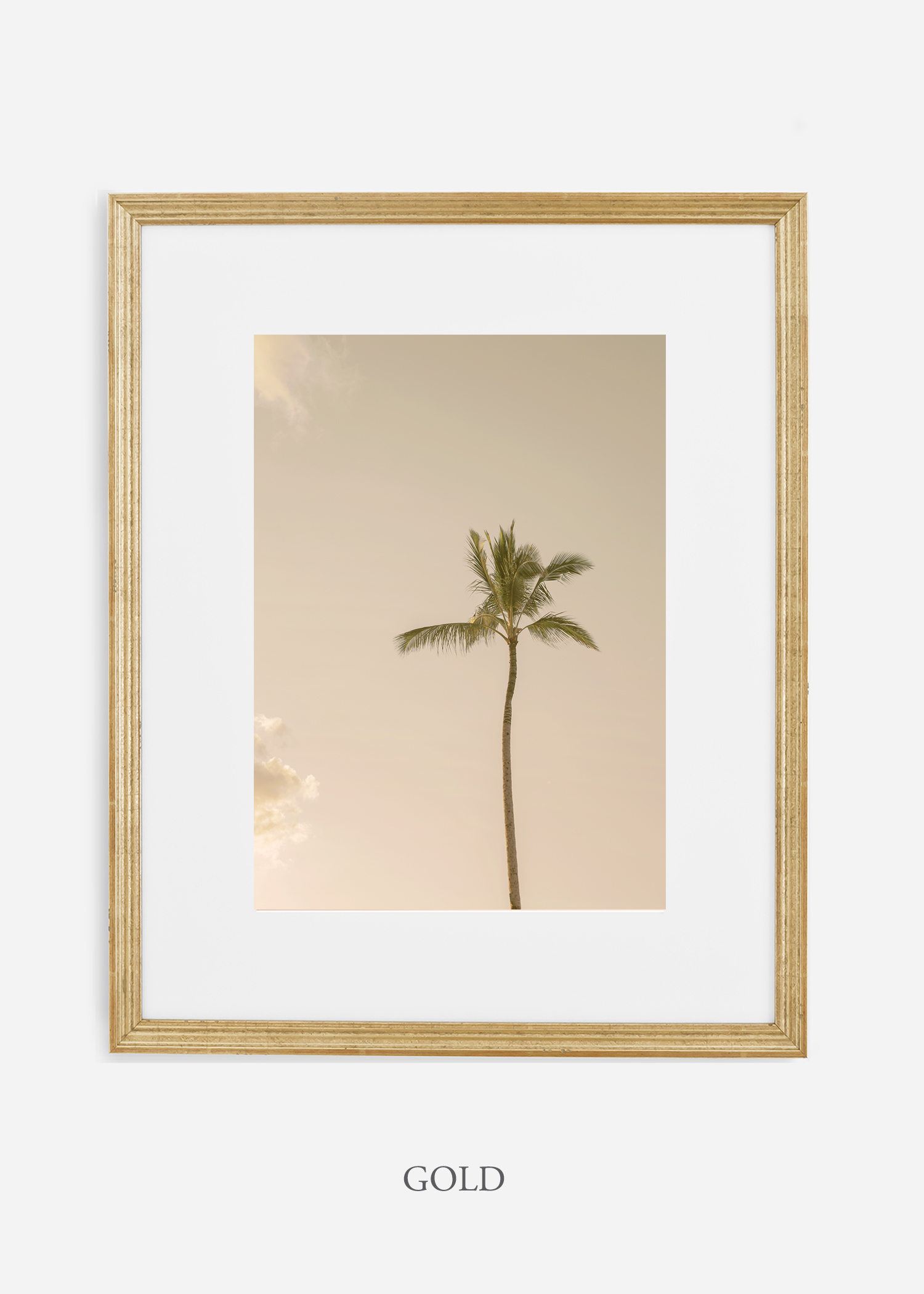 WilderCalifornia_Hawaii_lonepalm_tropicalart_goldframe.jpg