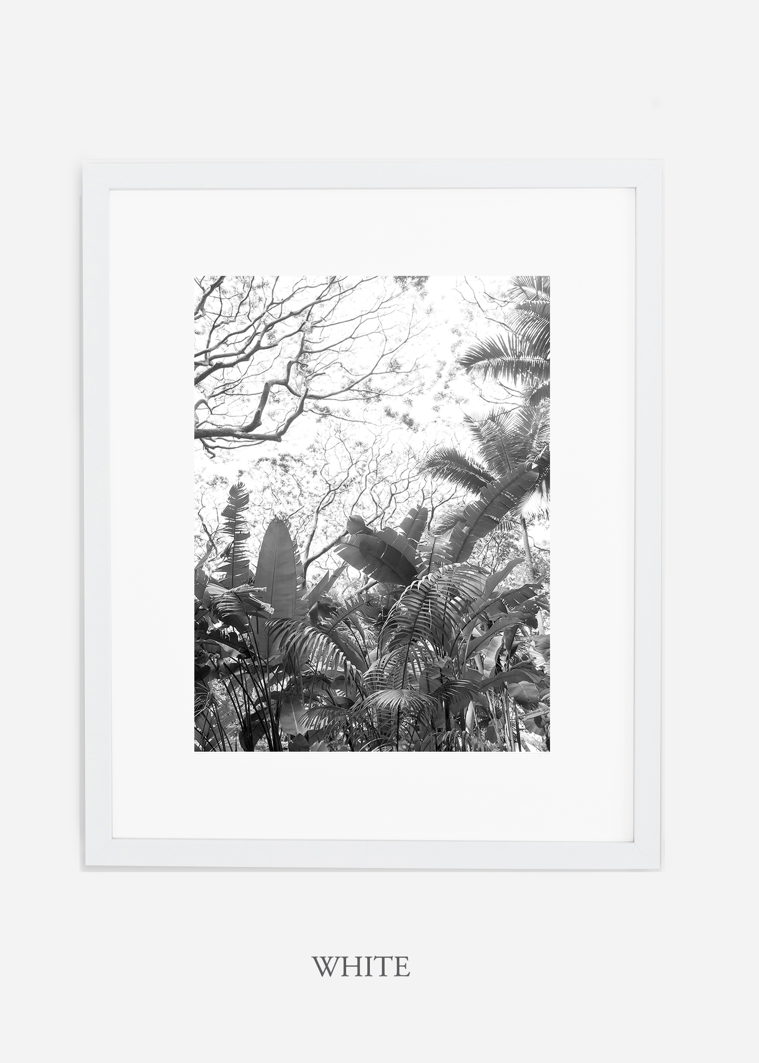tropicaldecor_WilderCalifornia_TropicalRainforest2_Art_Photography_interiordesign_whiteframe.jpg
