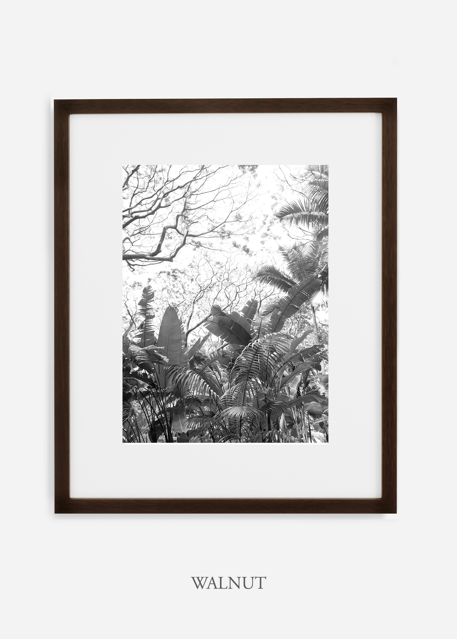 tropicaldecor_WilderCalifornia_TropicalRainforest2_Art_Photography_interiordesign_walnutframe.jpg