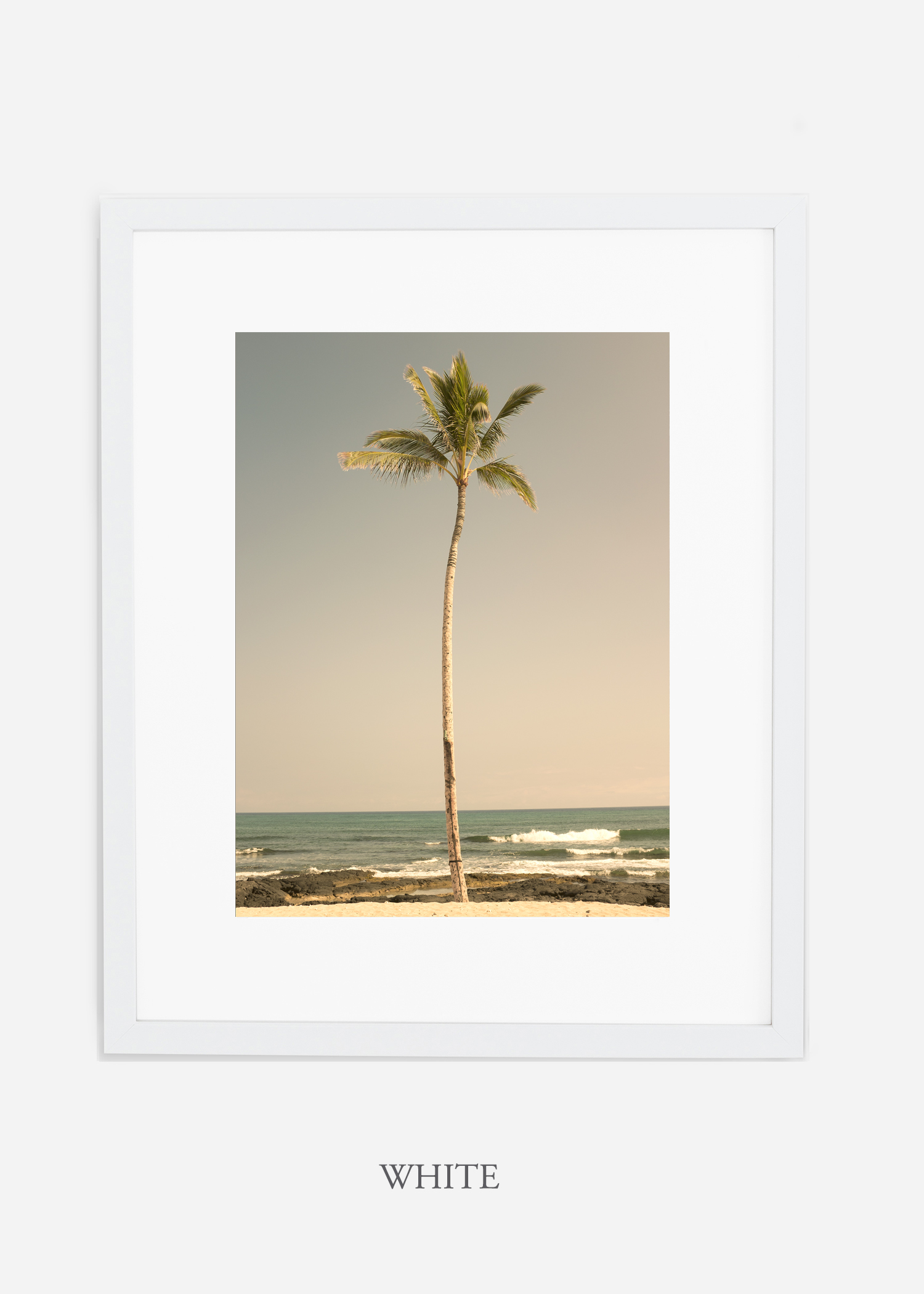 WilderCalifornia_PalmTree_No2_Art_Photography_interiordesign_whiteframe.jpg