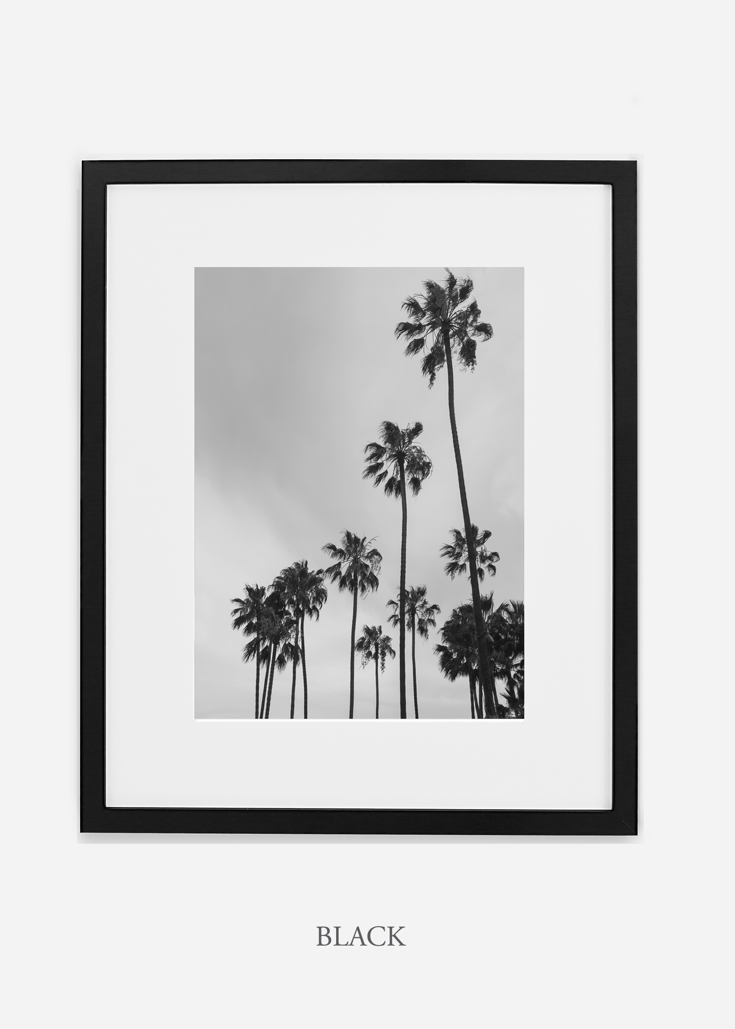 interiordesign_california_losangeles_palmtree_blackframe.jpg