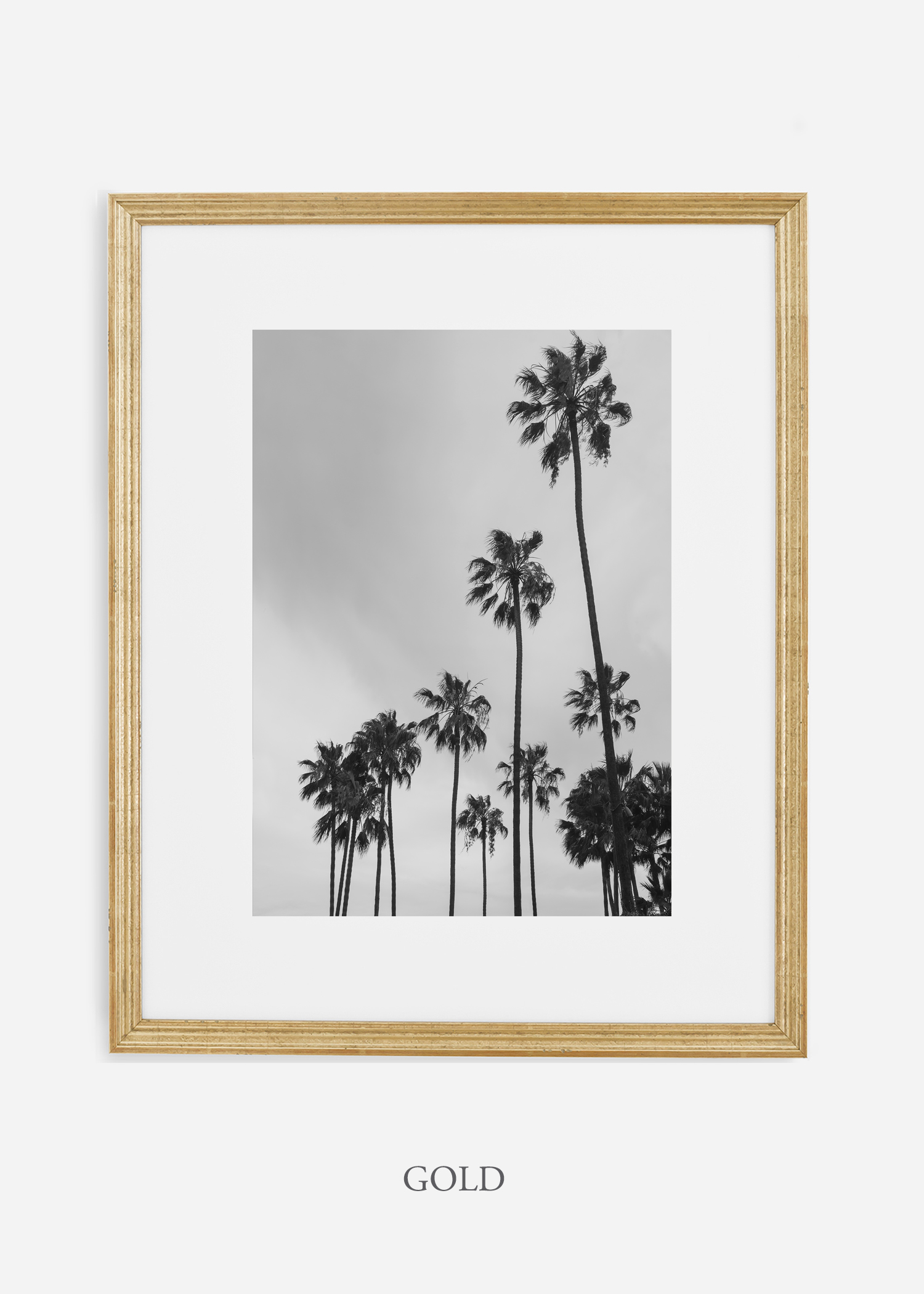 interiordesign_california_losangeles_palmtree_goldframe.jpg