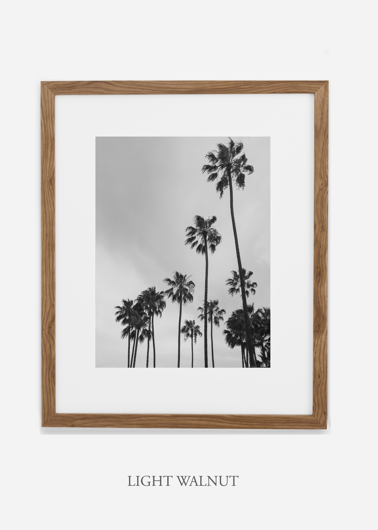 interiordesign_california_losangeles_palmtree_lightwalnutframe.jpg