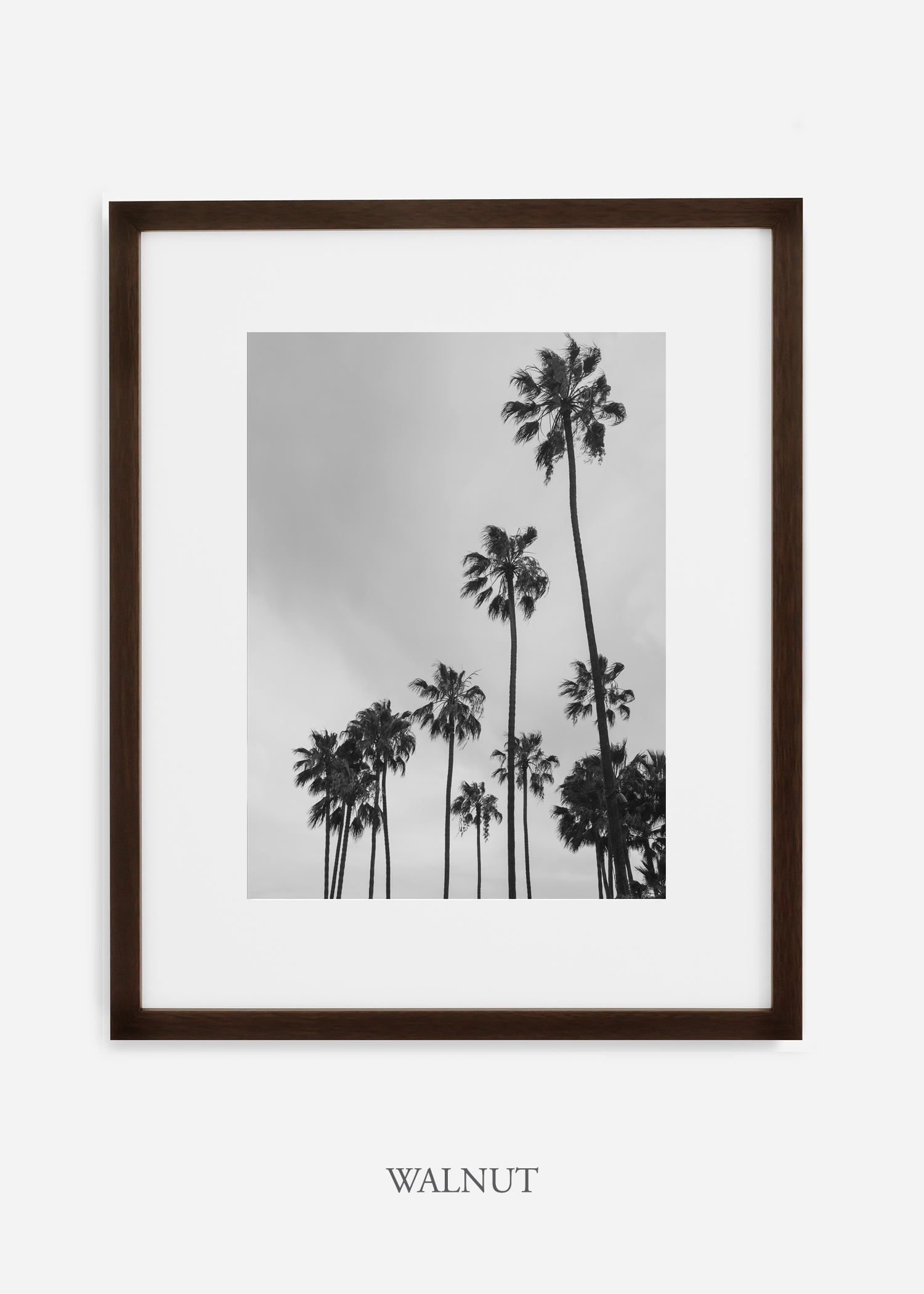 interiordesign_california_losangeles_palmtree_walnutframe.jpg