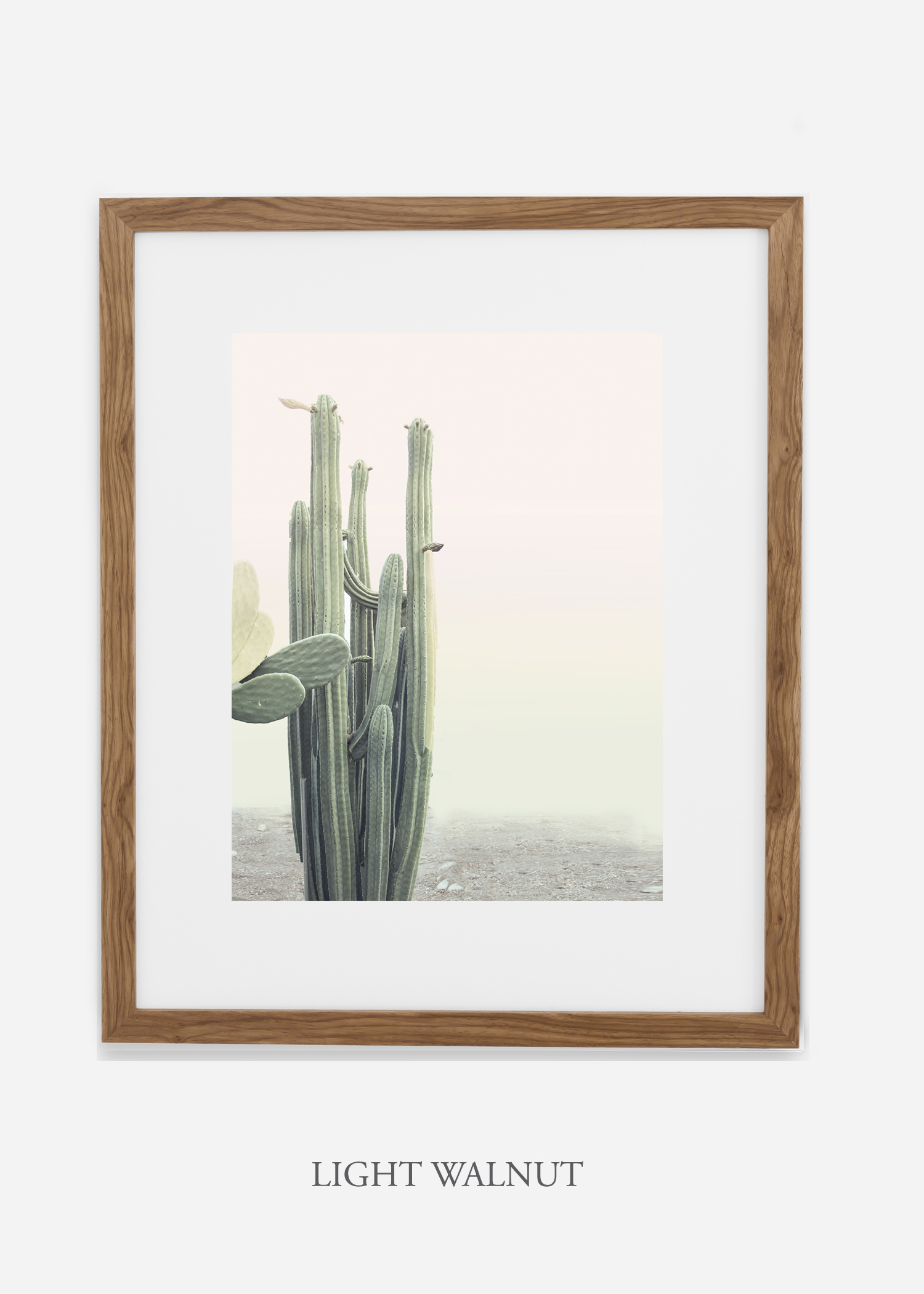 wildercalifornia_californiacactusNo.1_interiordesign_desertdecor_bohemian_lightwalnutframe.jpg