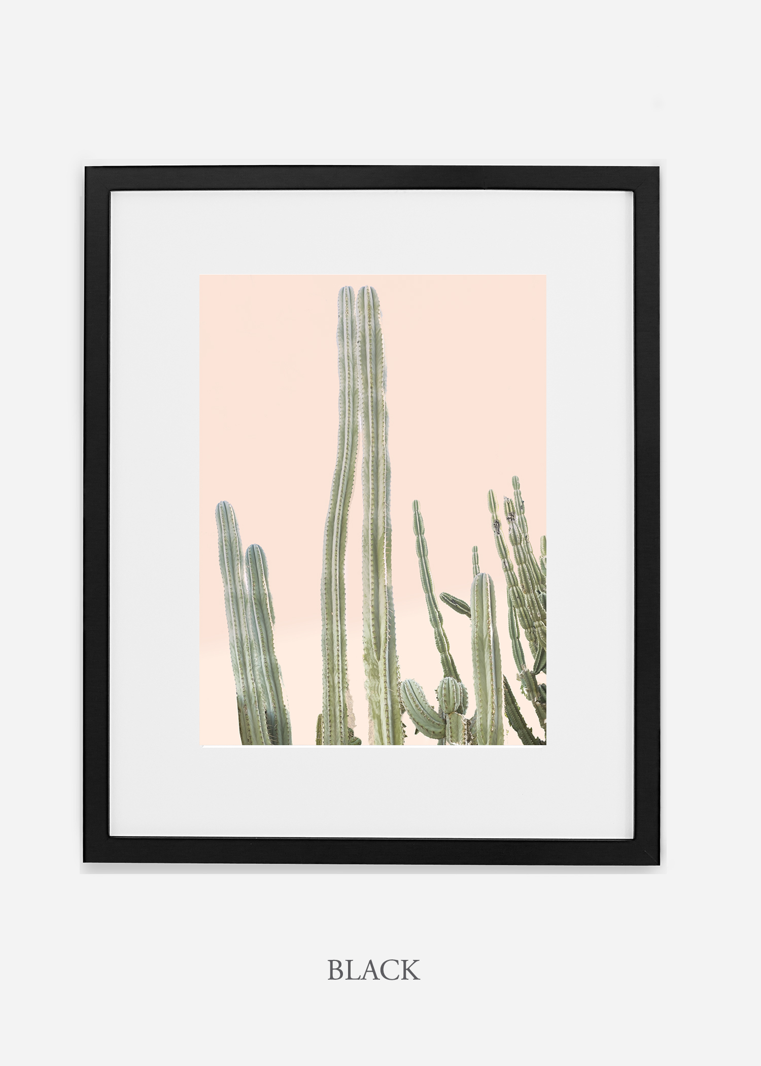 Copy of cactus print