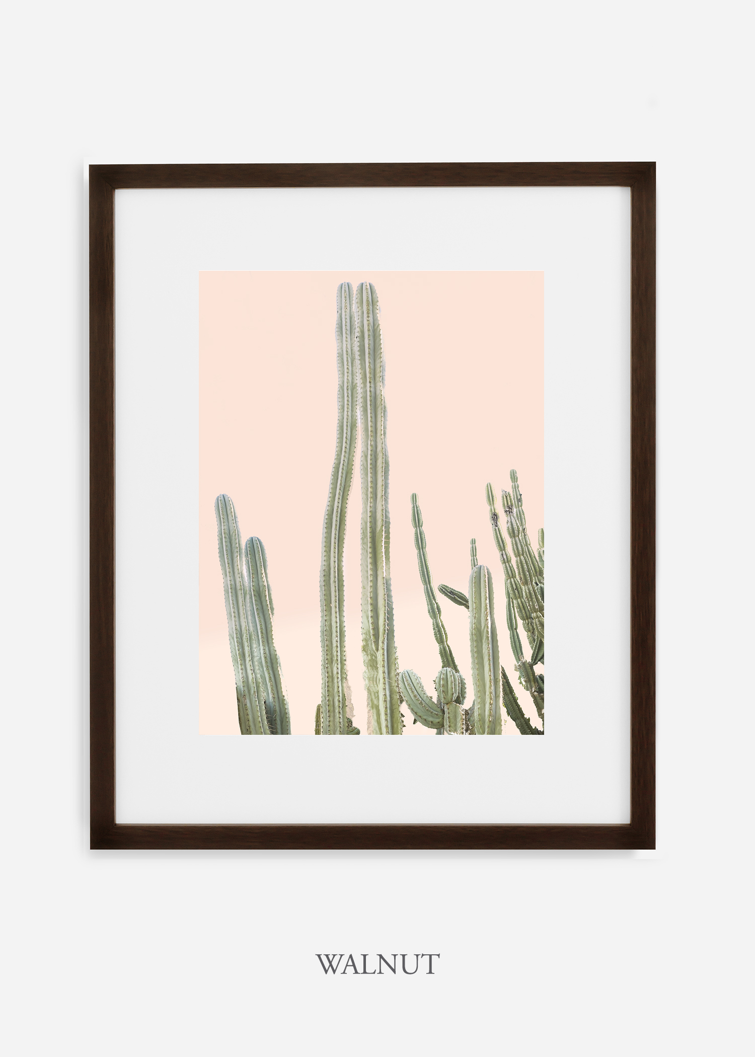 cactus print