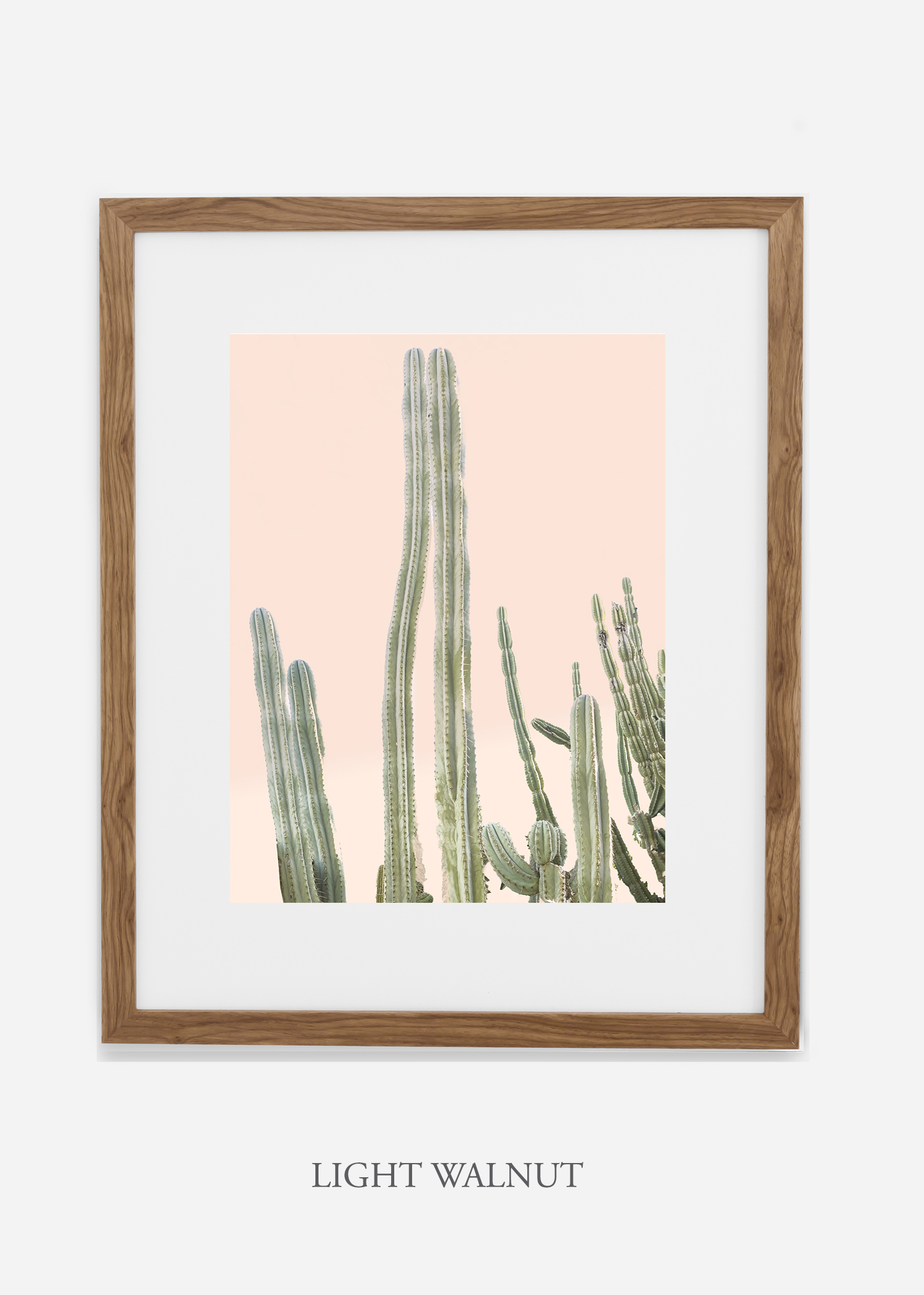 Copy of cactus print