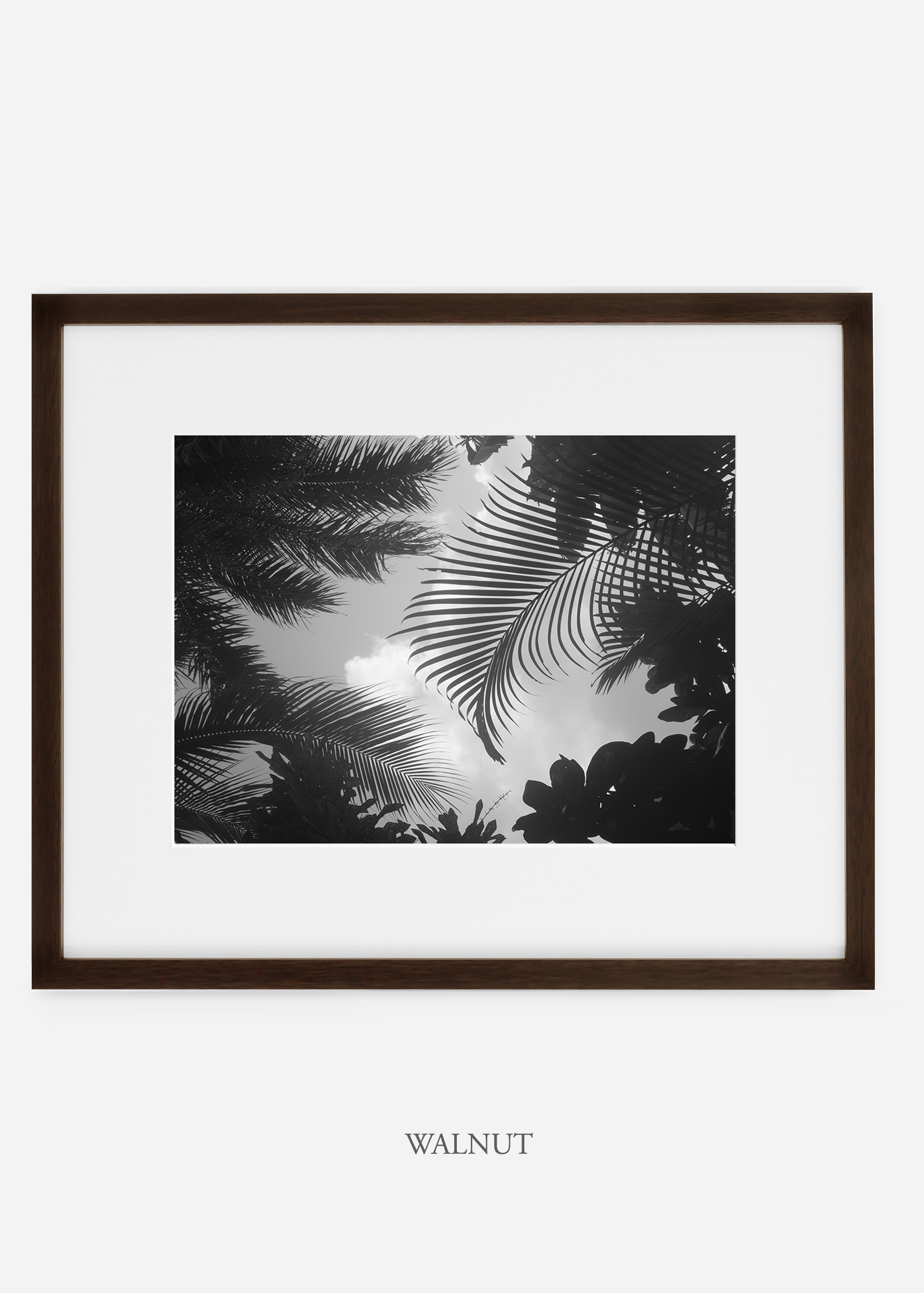 WilderCalifornia_interiordesign_art_walnutframe_RainforestNo.1_Mat.jpg