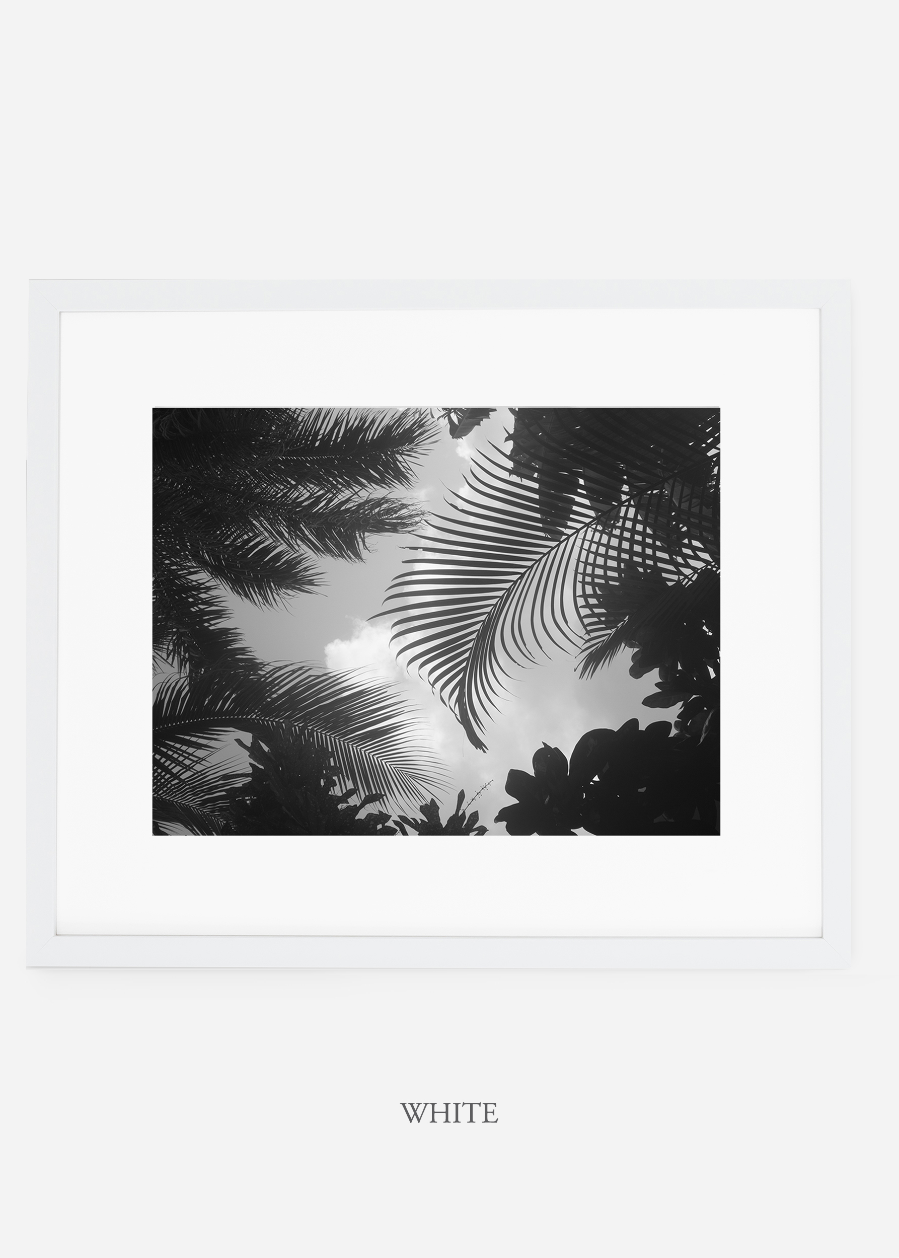 WilderCalifornia_interiordesign_art_whiteframe_RainforestNo.1_Mat.jpg