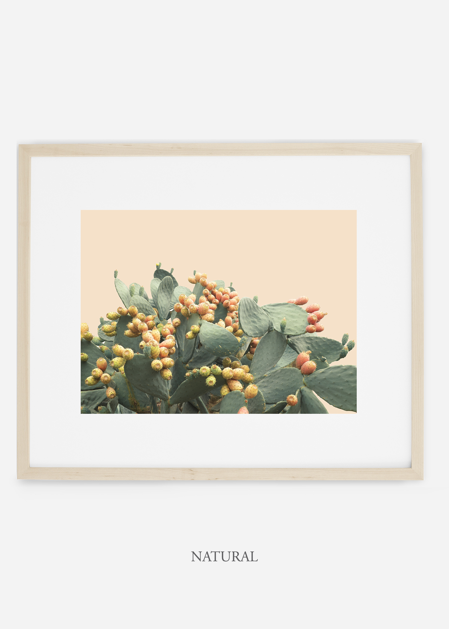 WilderCalifornia_interiordesign_art_naturalframe_PricklyPearNo.1.jpg