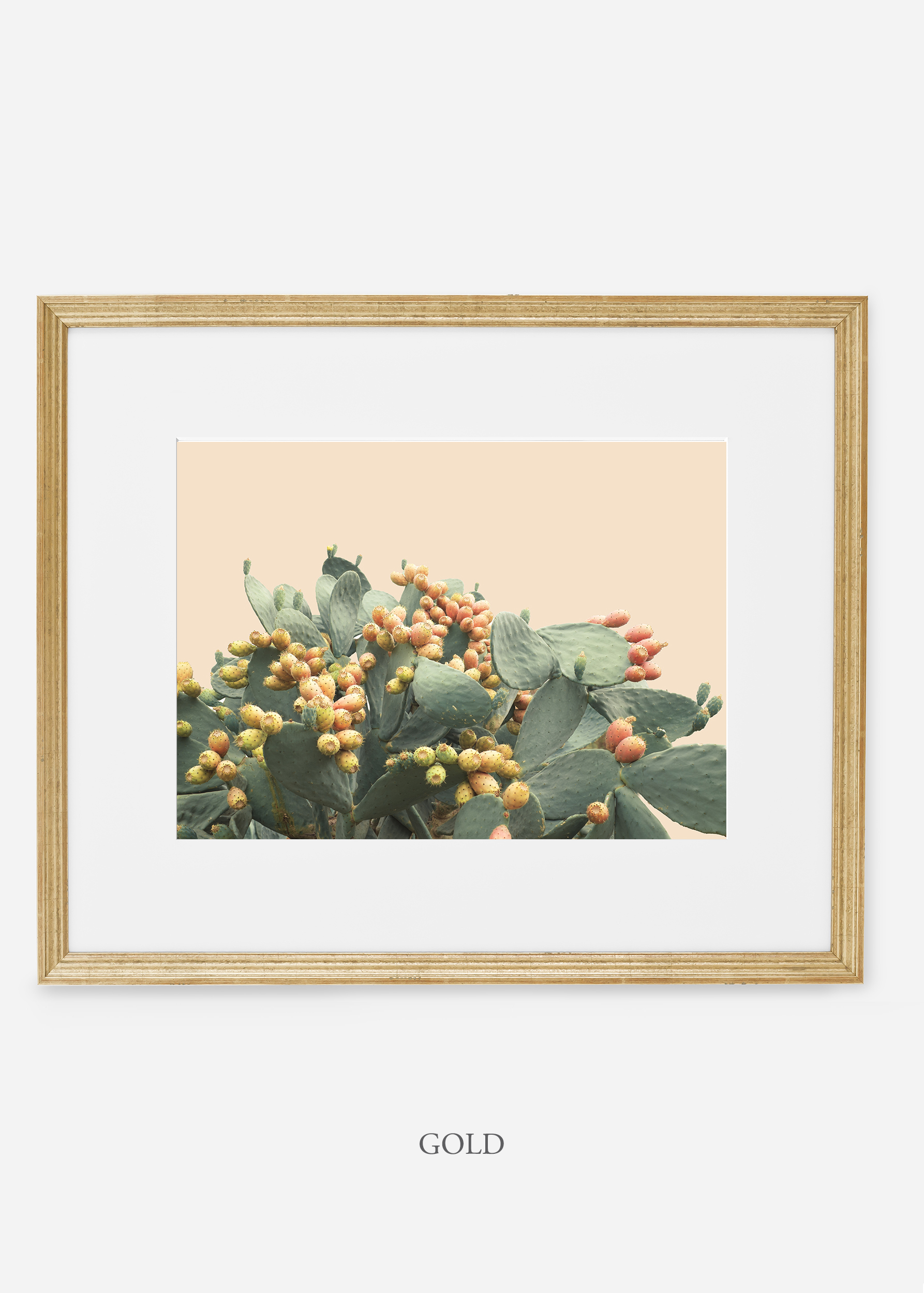 WilderCalifornia_interiordesign_art_goldframe_PricklyPearNo.1.jpg