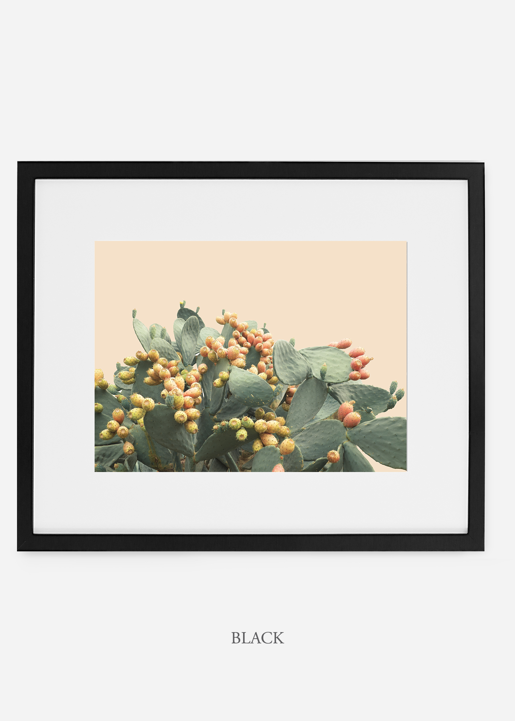 WilderCalifornia_interiordesign_art_blackframe_PricklyPearNo.1.jpg