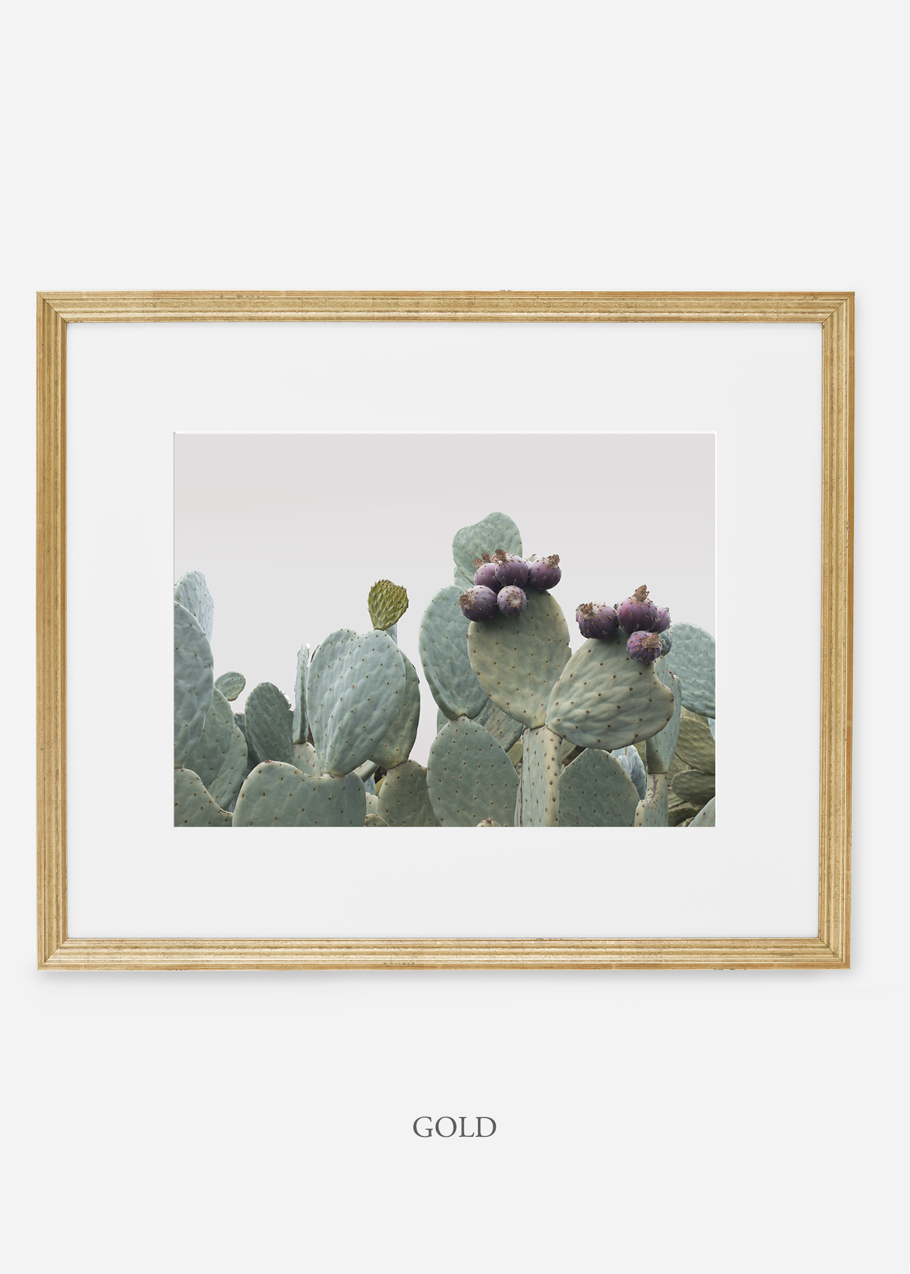 wilder california cactus print