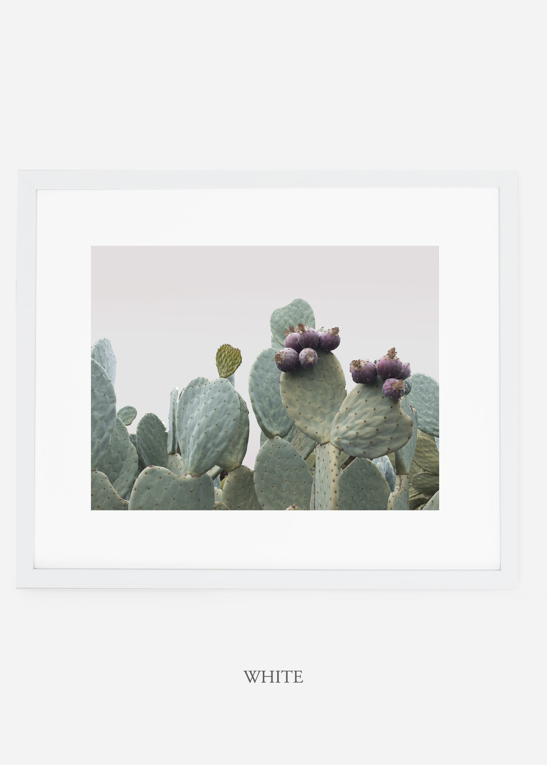 wilder california cactus print