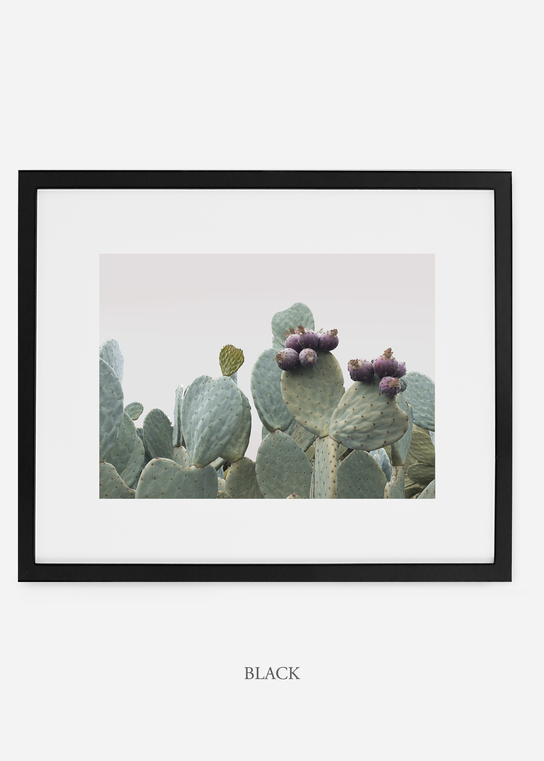 wilder california cactus print
