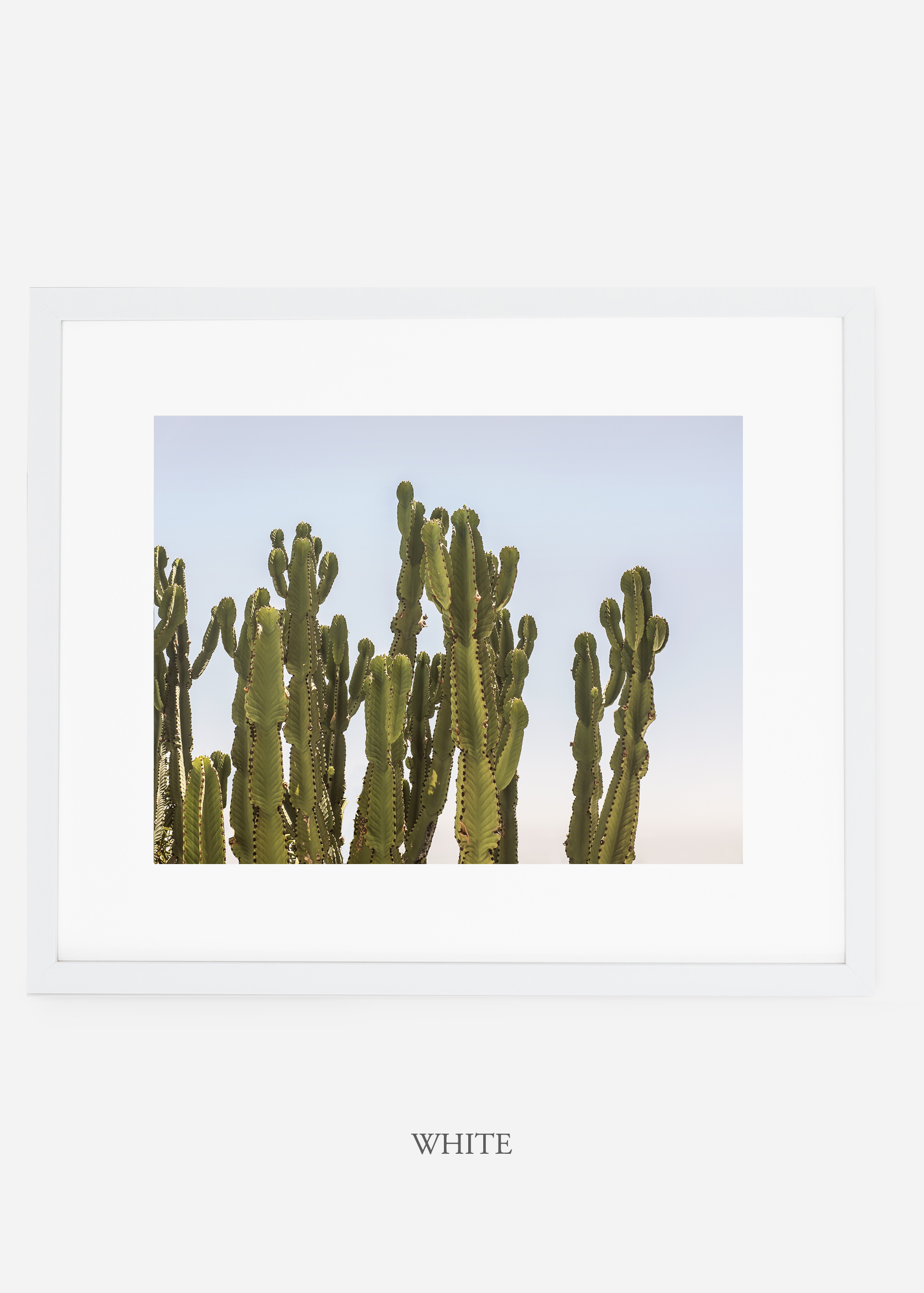 WilderCalifornia_whiteframe_interiordesign_cactusprint_CaiforniaCactusNo.3.jpg