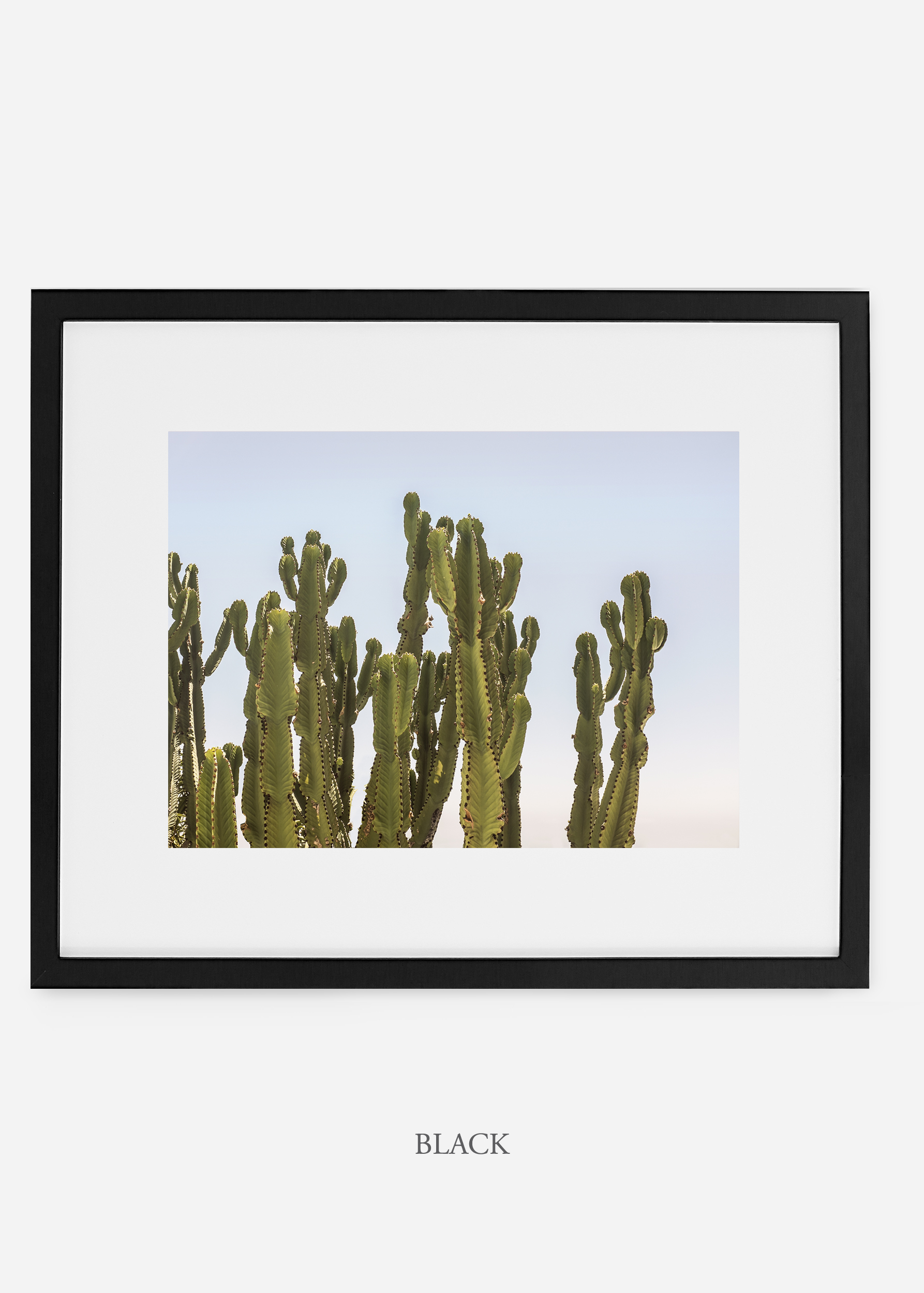 WilderCalifornia_blackframe_interiordesign_cactusprint_CaiforniaCactusNo.3.jpg