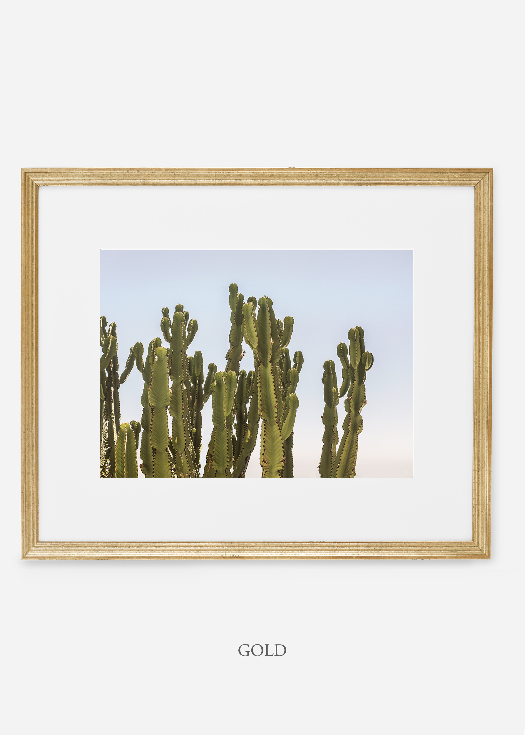 WilderCalifornia_goldframe_interiordesign_cactusprint_CaiforniaCactusNo.3.jpg