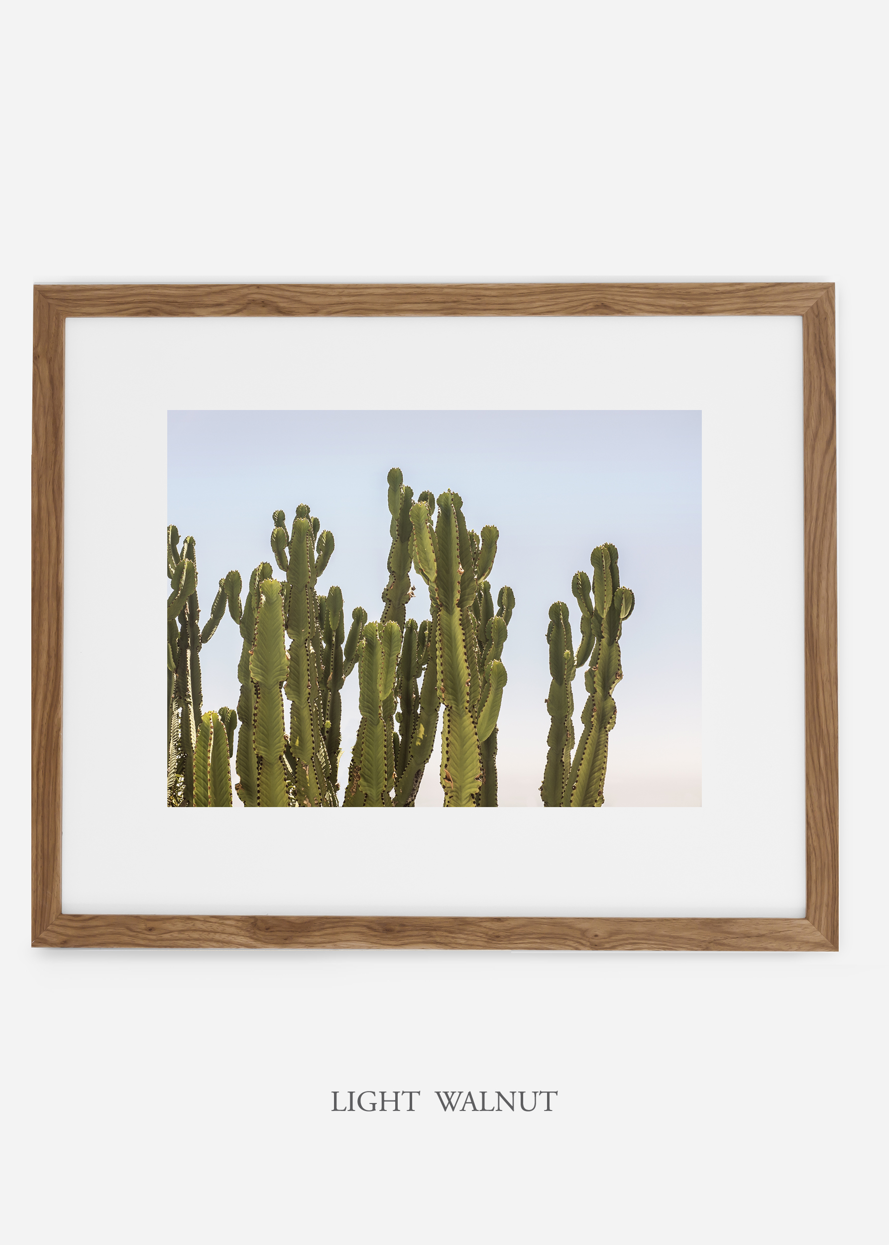 WilderCalifornia_lightwalnutframe_interiordesign_cactusprint_CaiforniaCactusNo.3.jpg